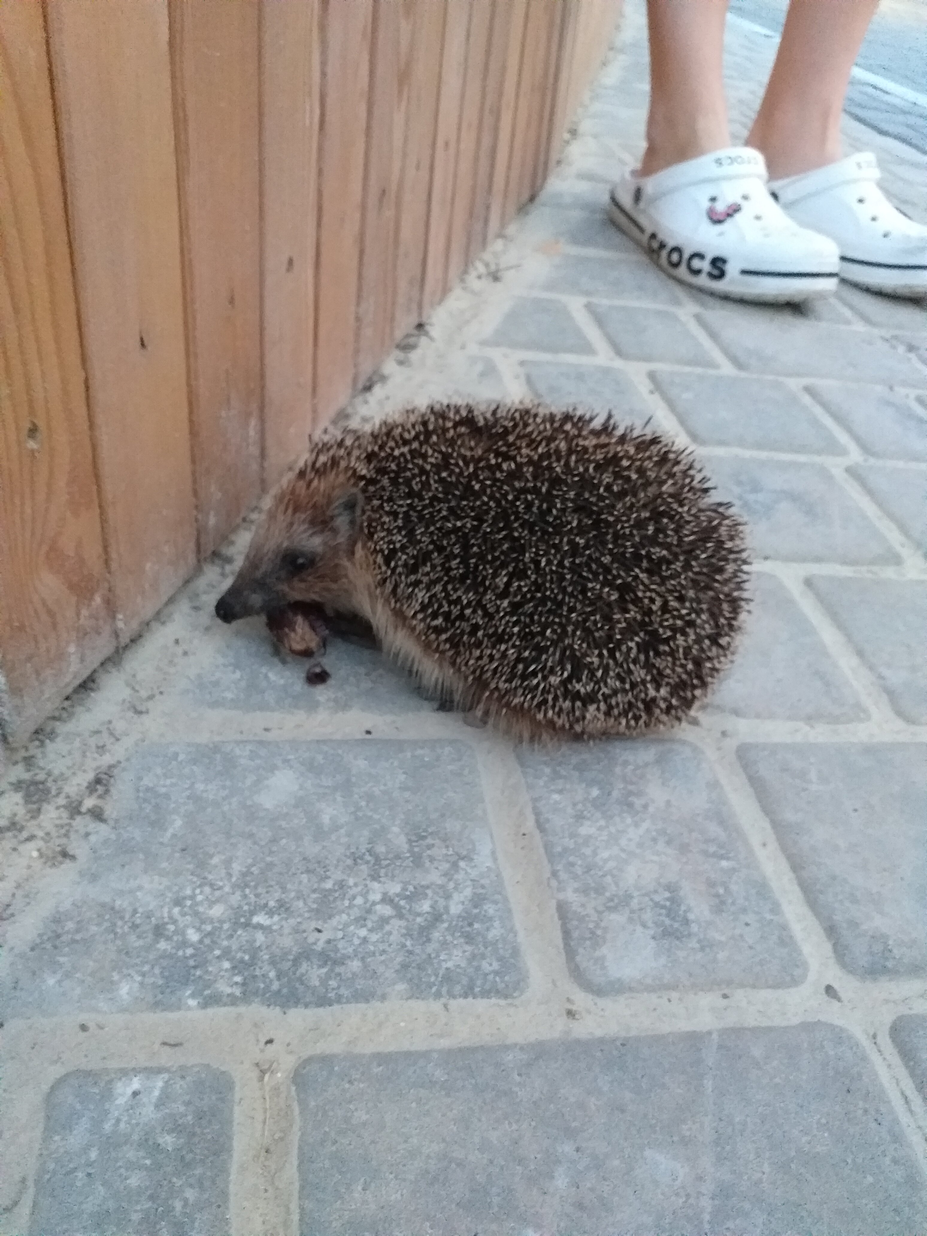 Фото Пансионат Ладога