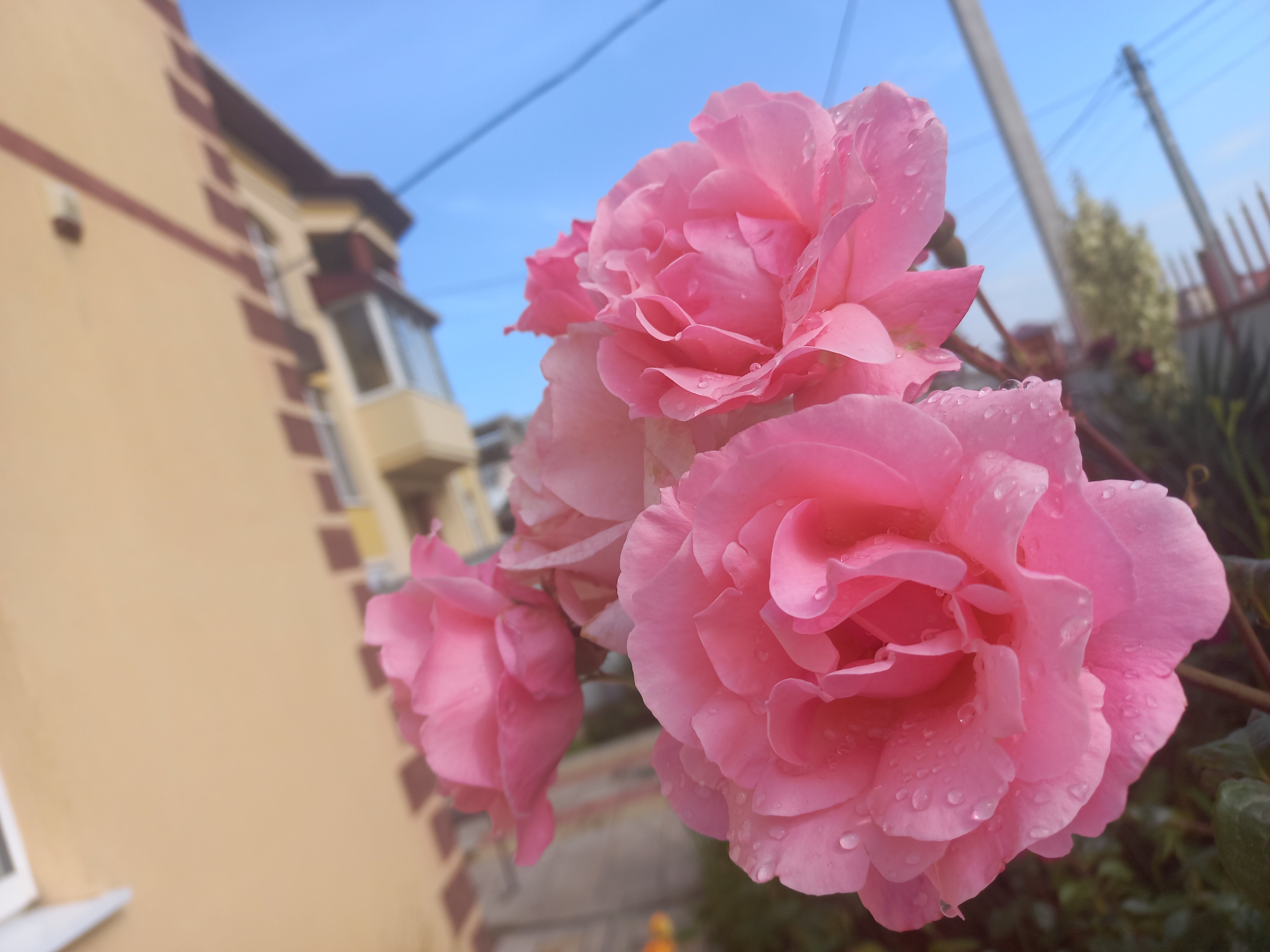 Фото Белогорье