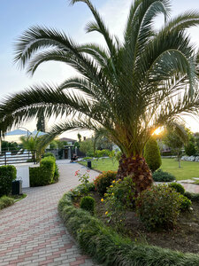 Оазис Клаб Резорт Отель