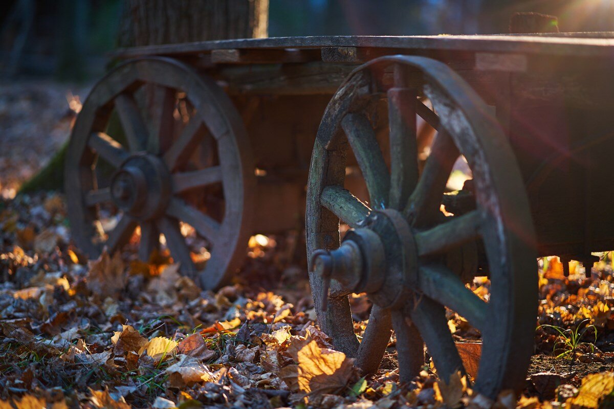 Фото Лесная Слобода
