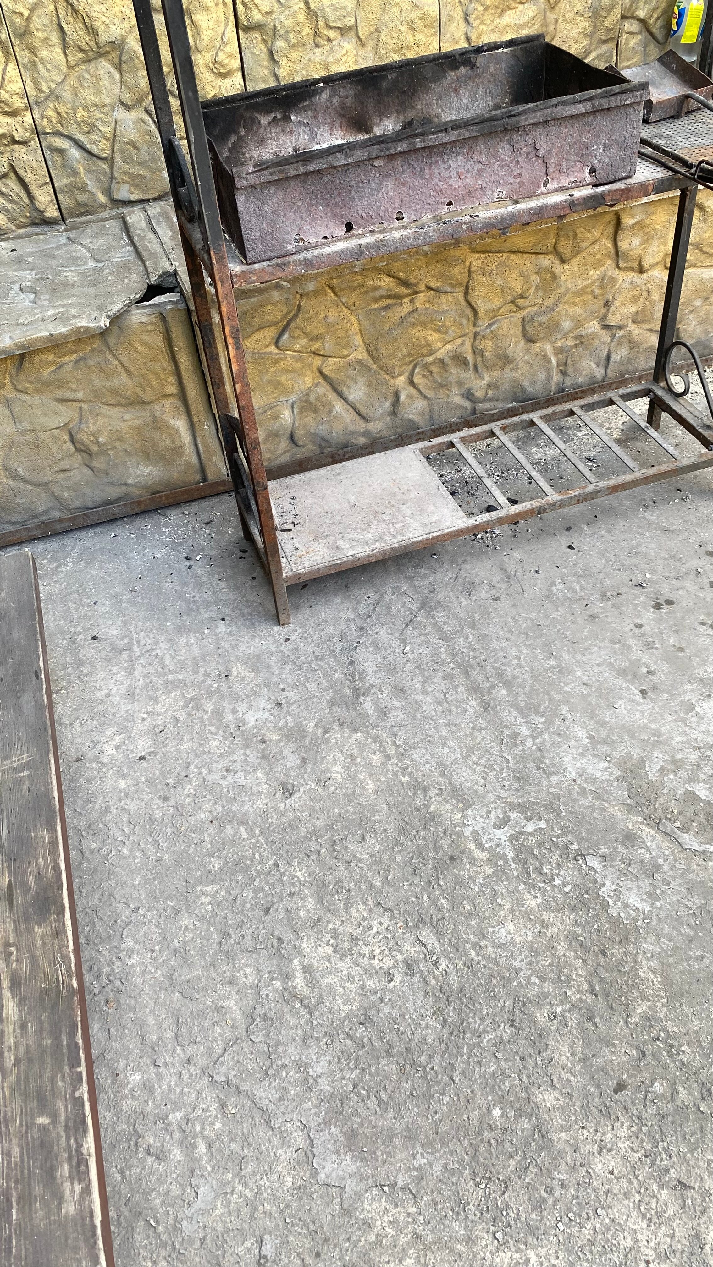 Фото Золотое крыло