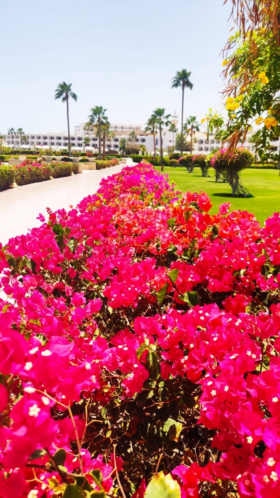 Фото Baron Resort Sharm El Sheikh