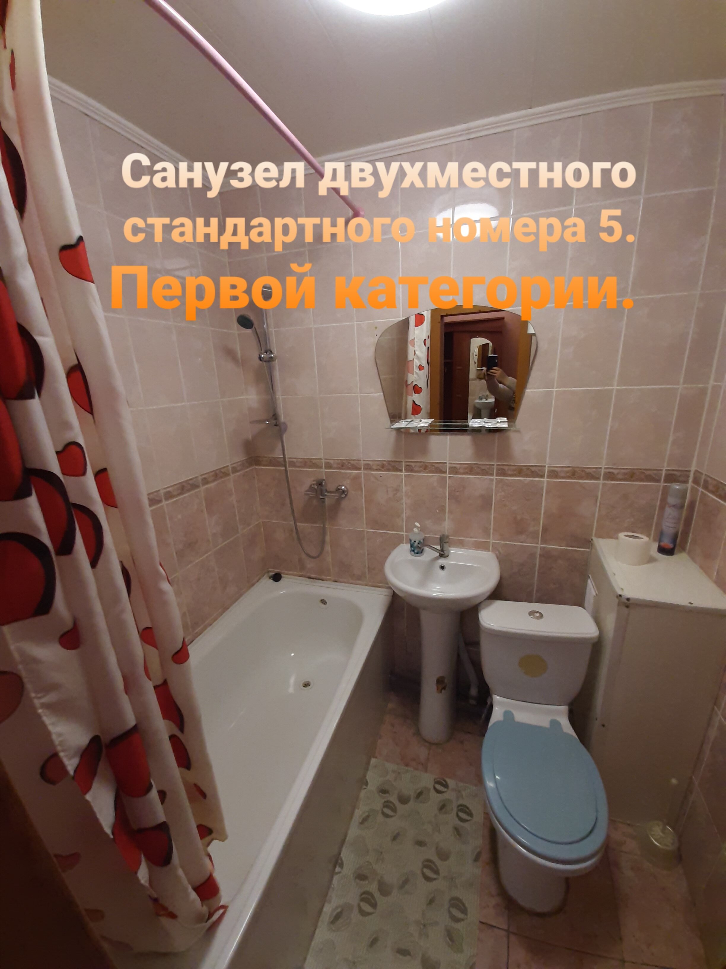 Фото Колибри