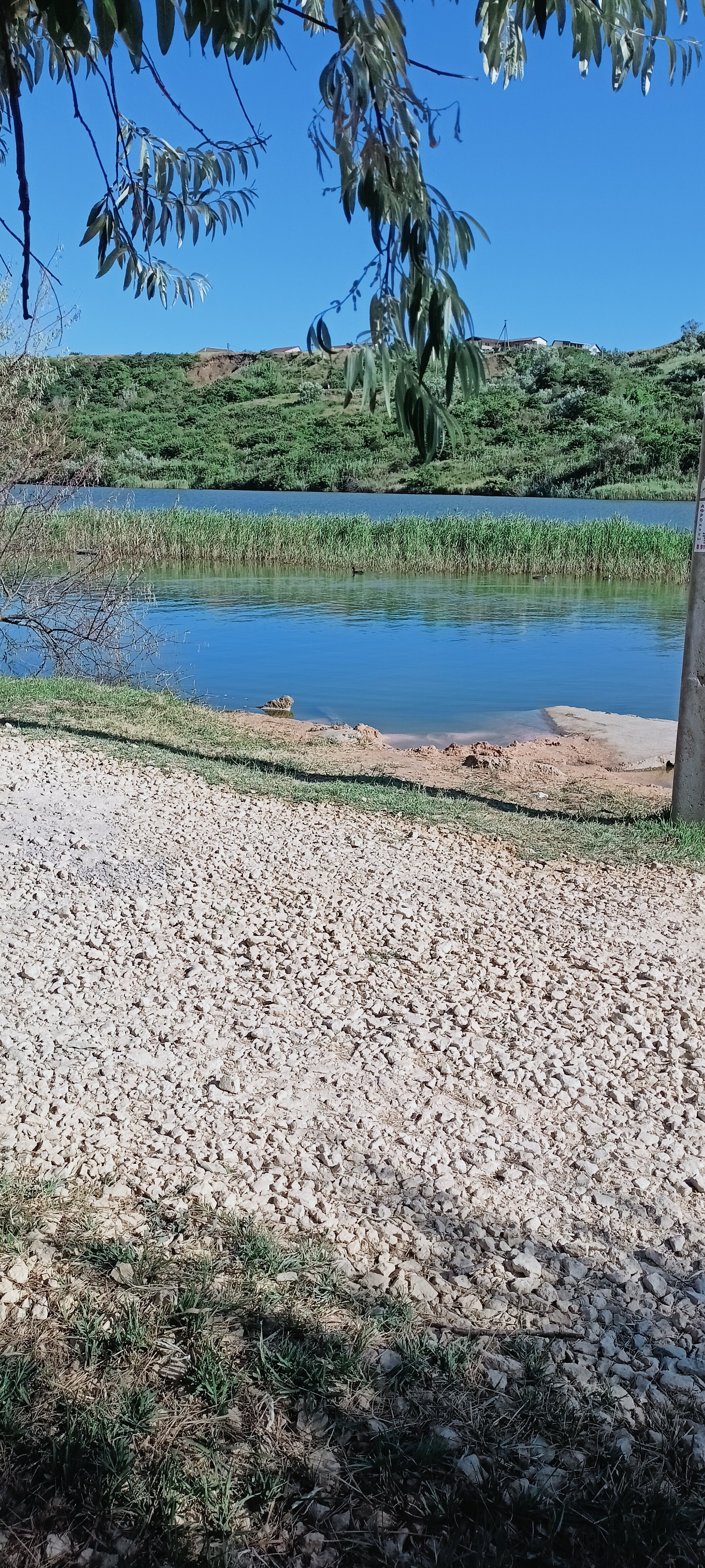 Фото Виктория