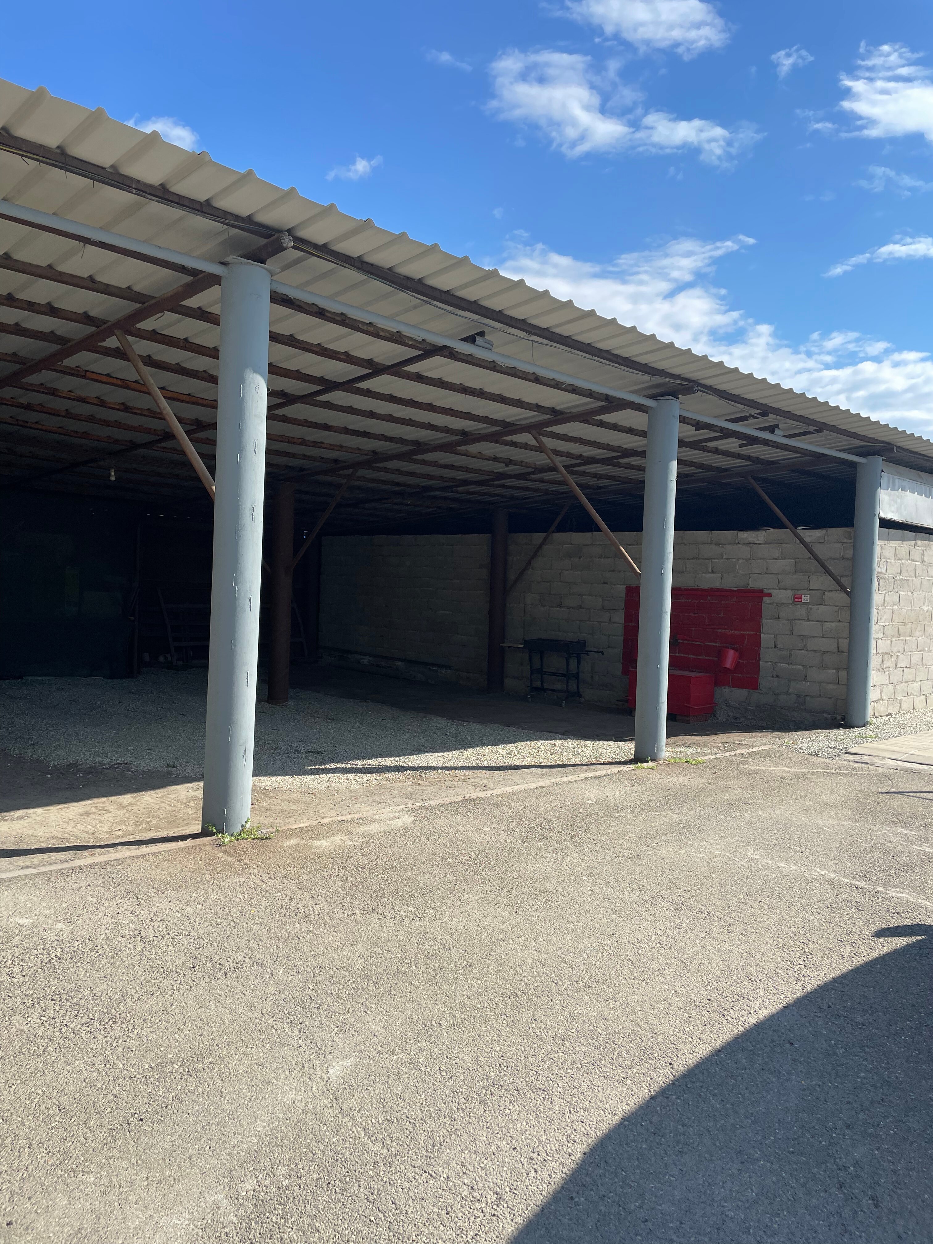 Фото Светлана