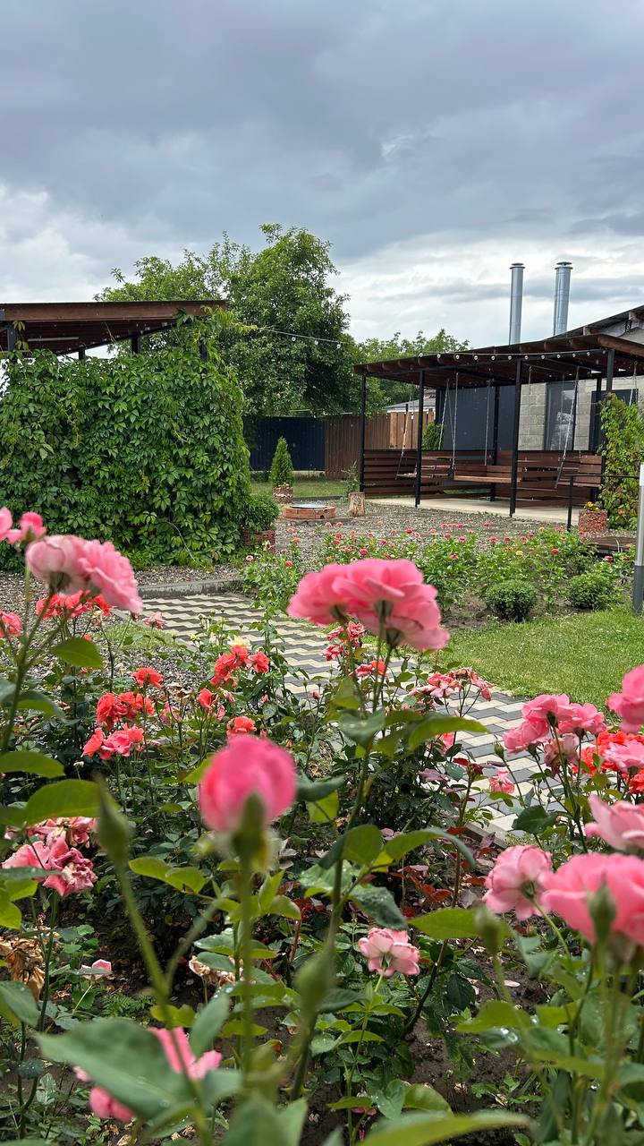 Фото Предгорье 01