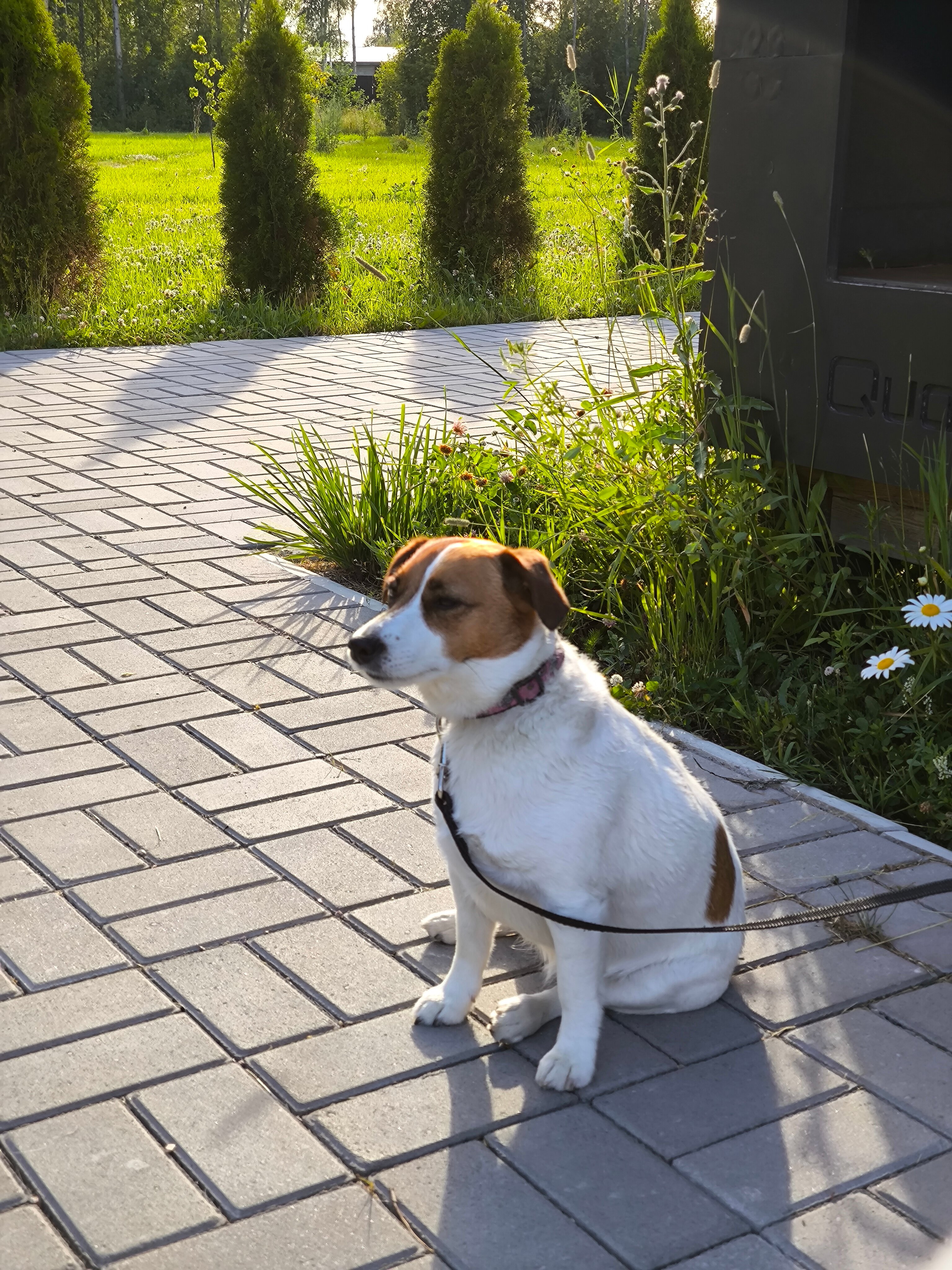 Фото База на Ладоге