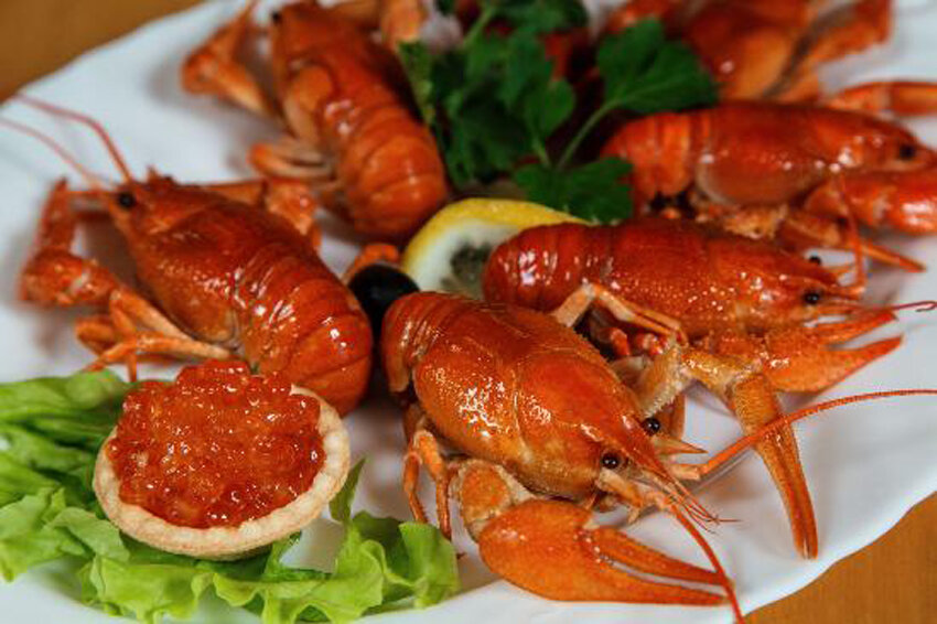 Картинки с раками