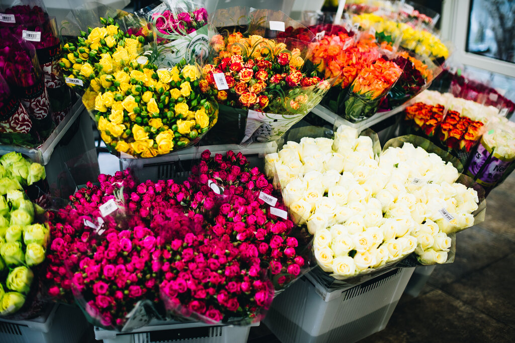 Купить Цветы Оптом Интернет Магазин