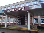 Гимназия (Александровская ул., 10, Старая Русса), гимназия в Старой Руссе