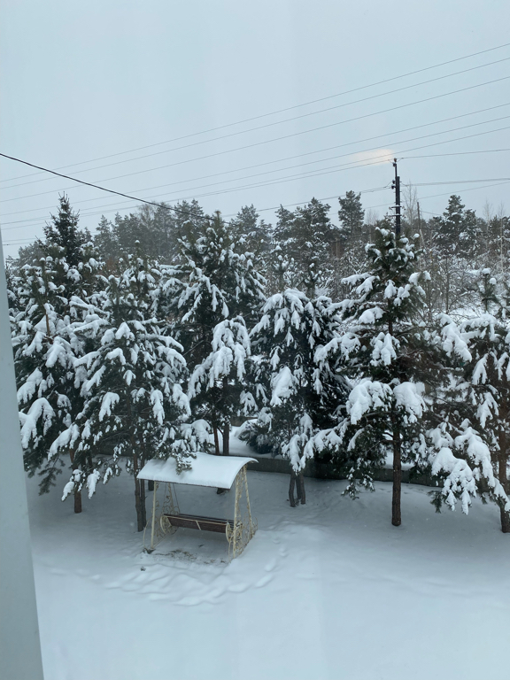 Фото Тишина