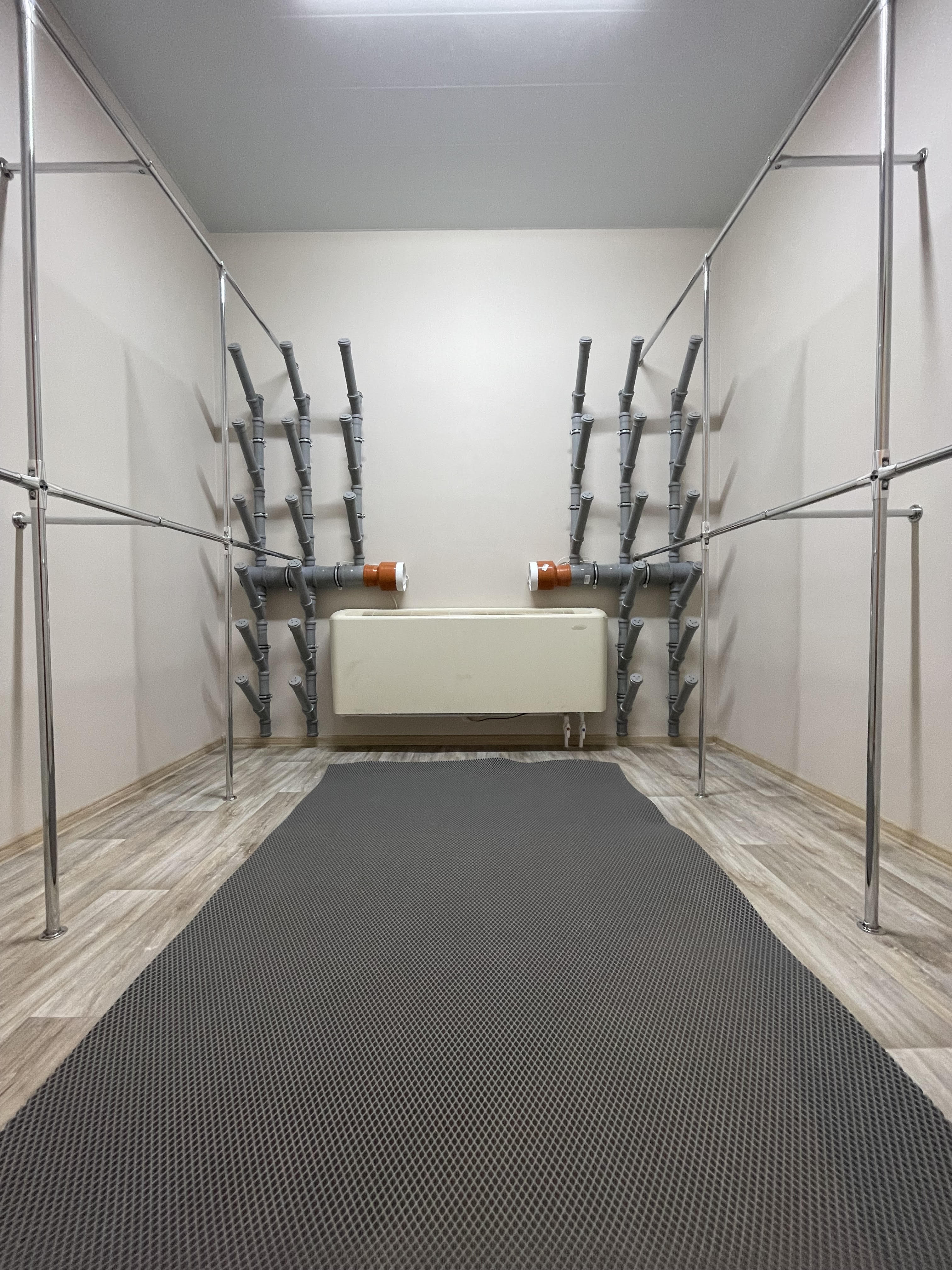 Фото Пихты Snow Point