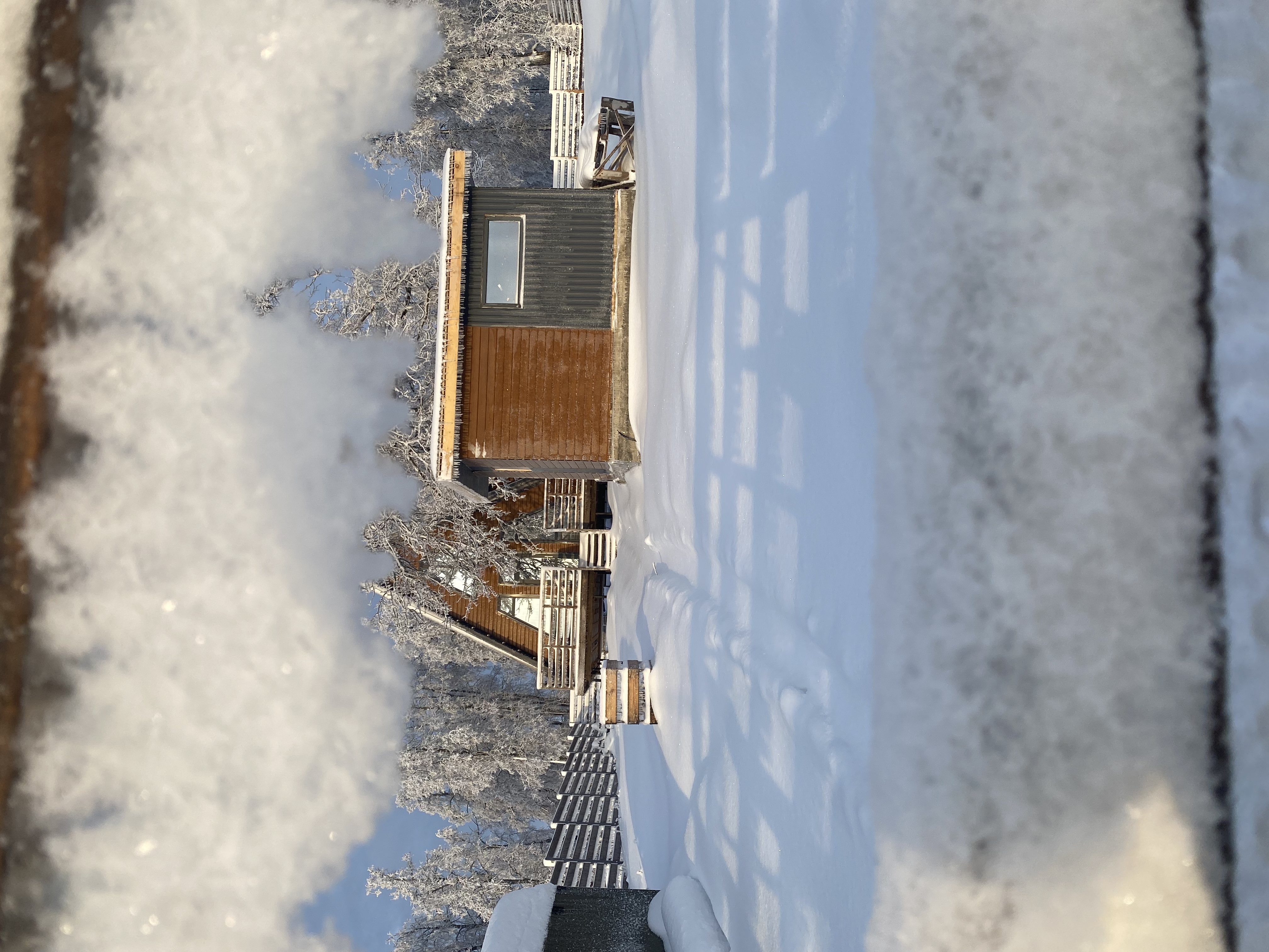 Фото Pavlov_glamp