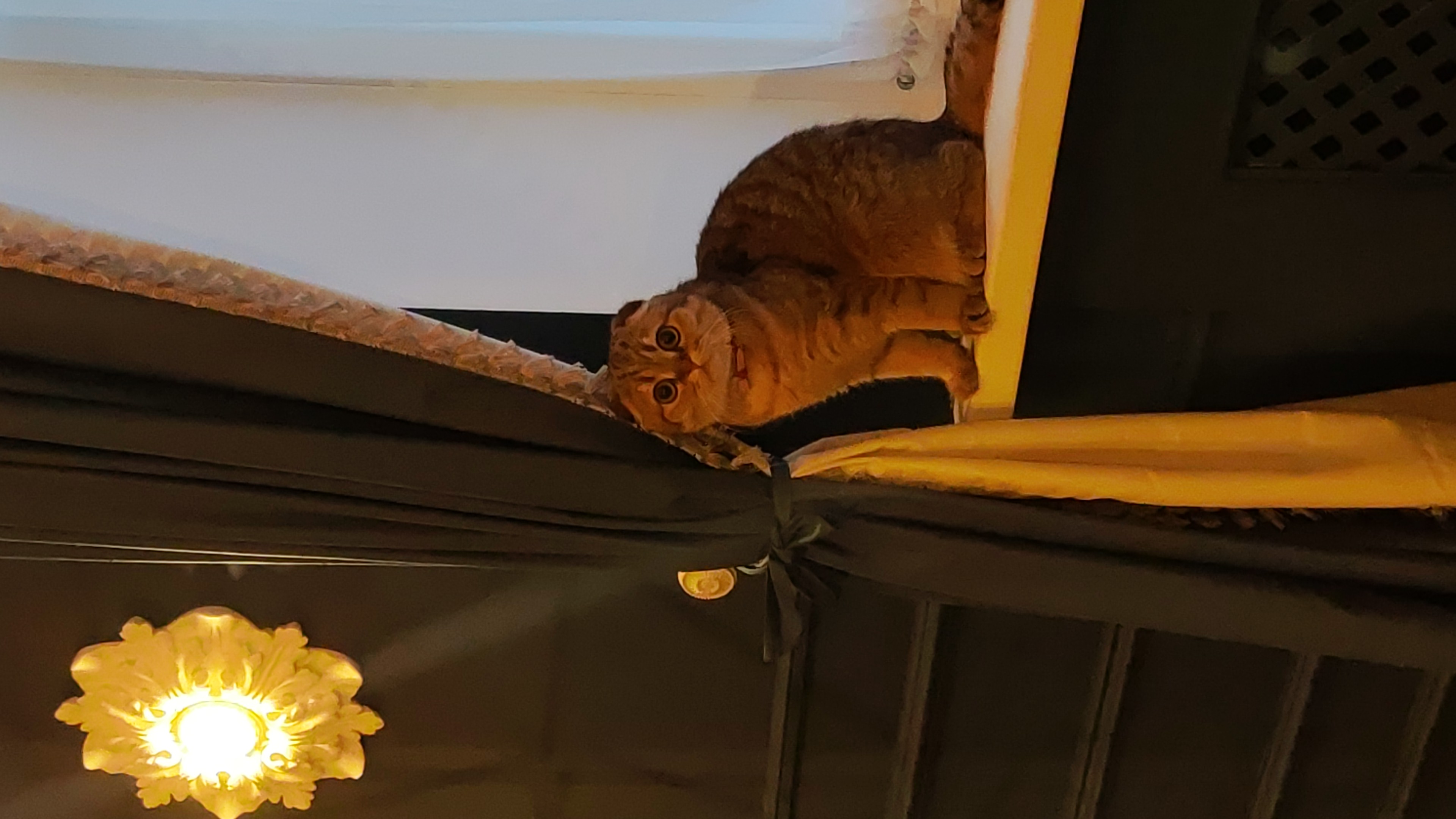 Фото Винсент