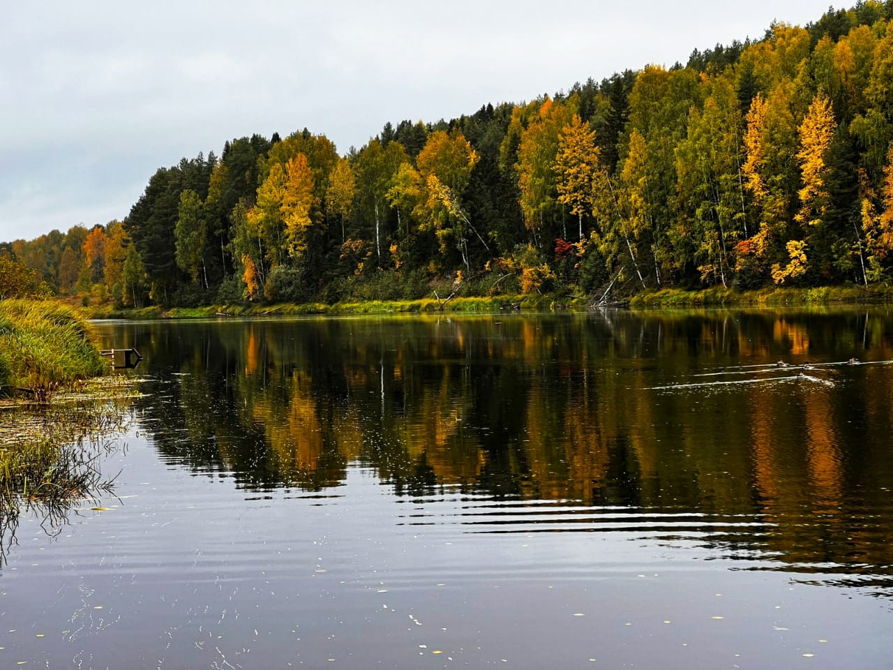 Фото Ёкиранта