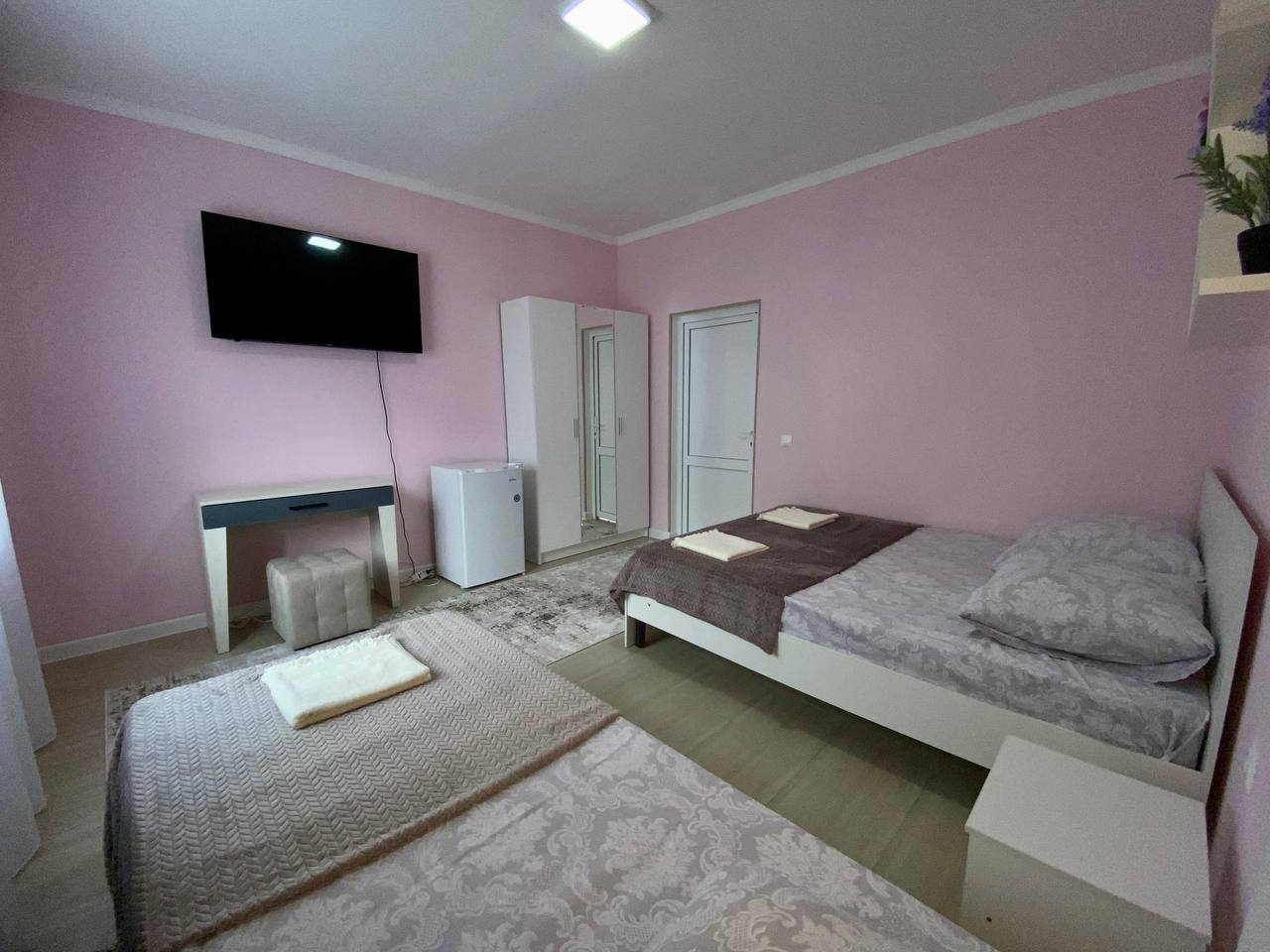 Фото Поющий Колибри