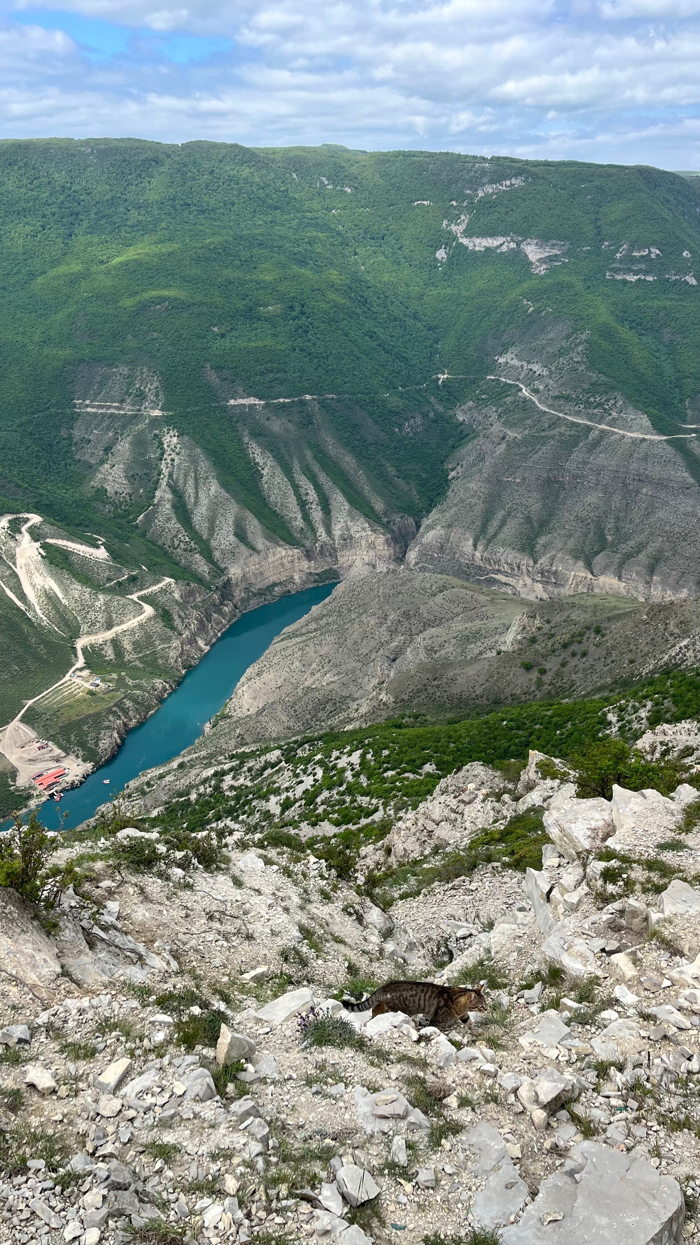 Фото Каньон