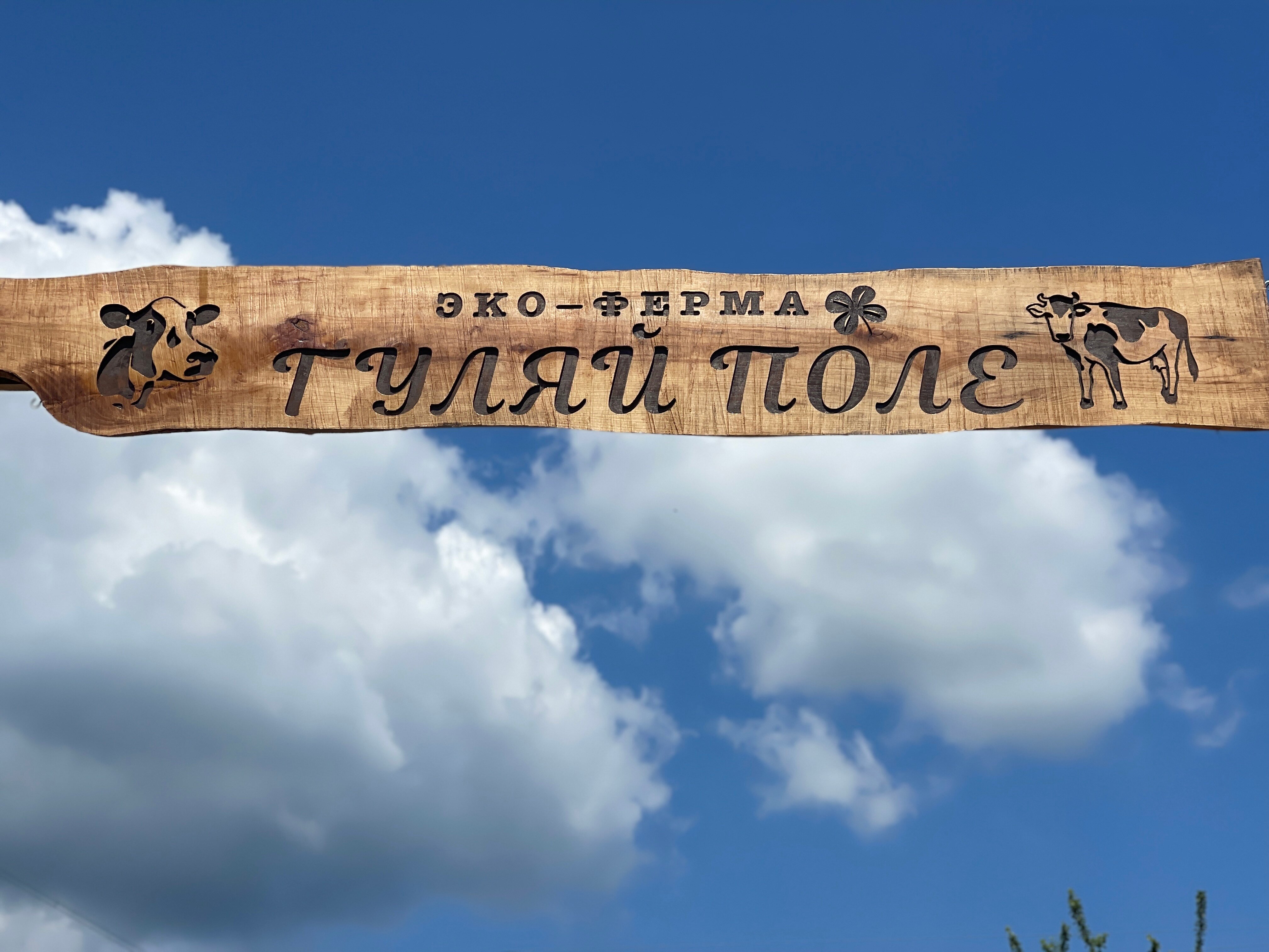 Фото Эко ферма Гуляй Поле