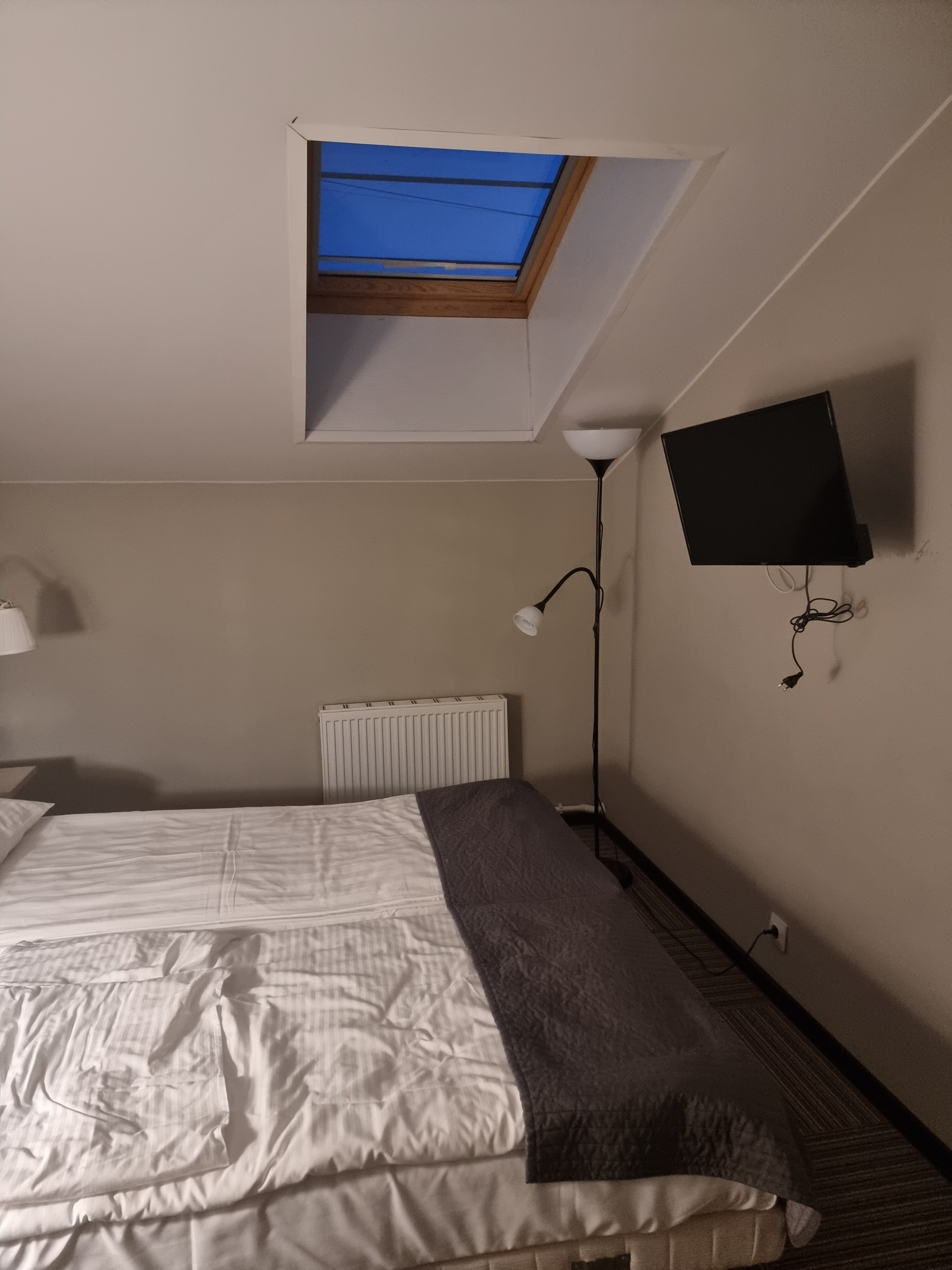 Фото Невский Астер