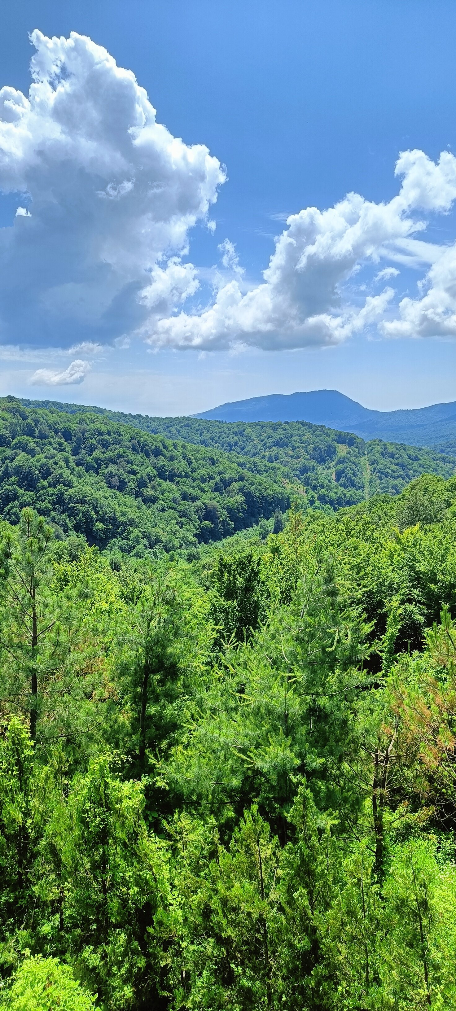 Фото Куршевель