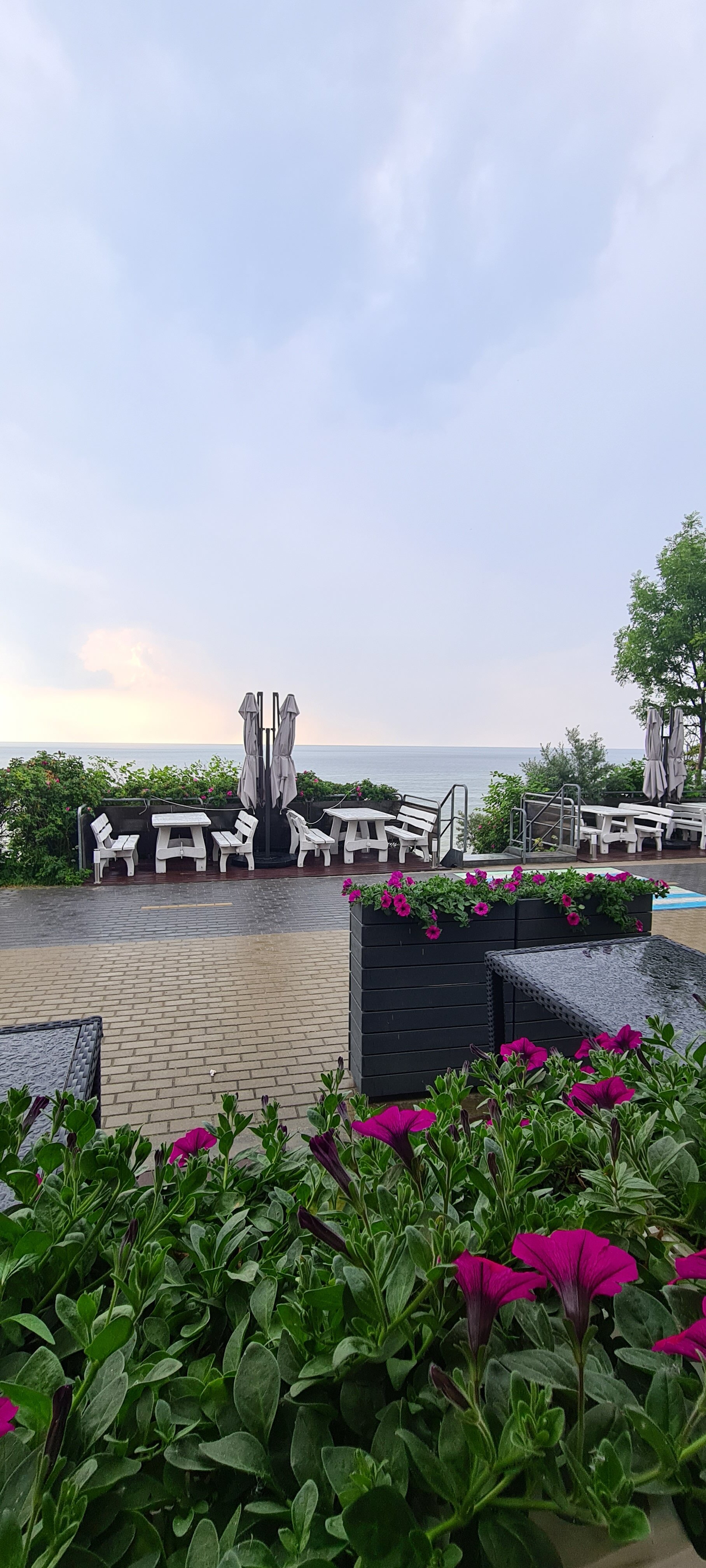 Фото Априори