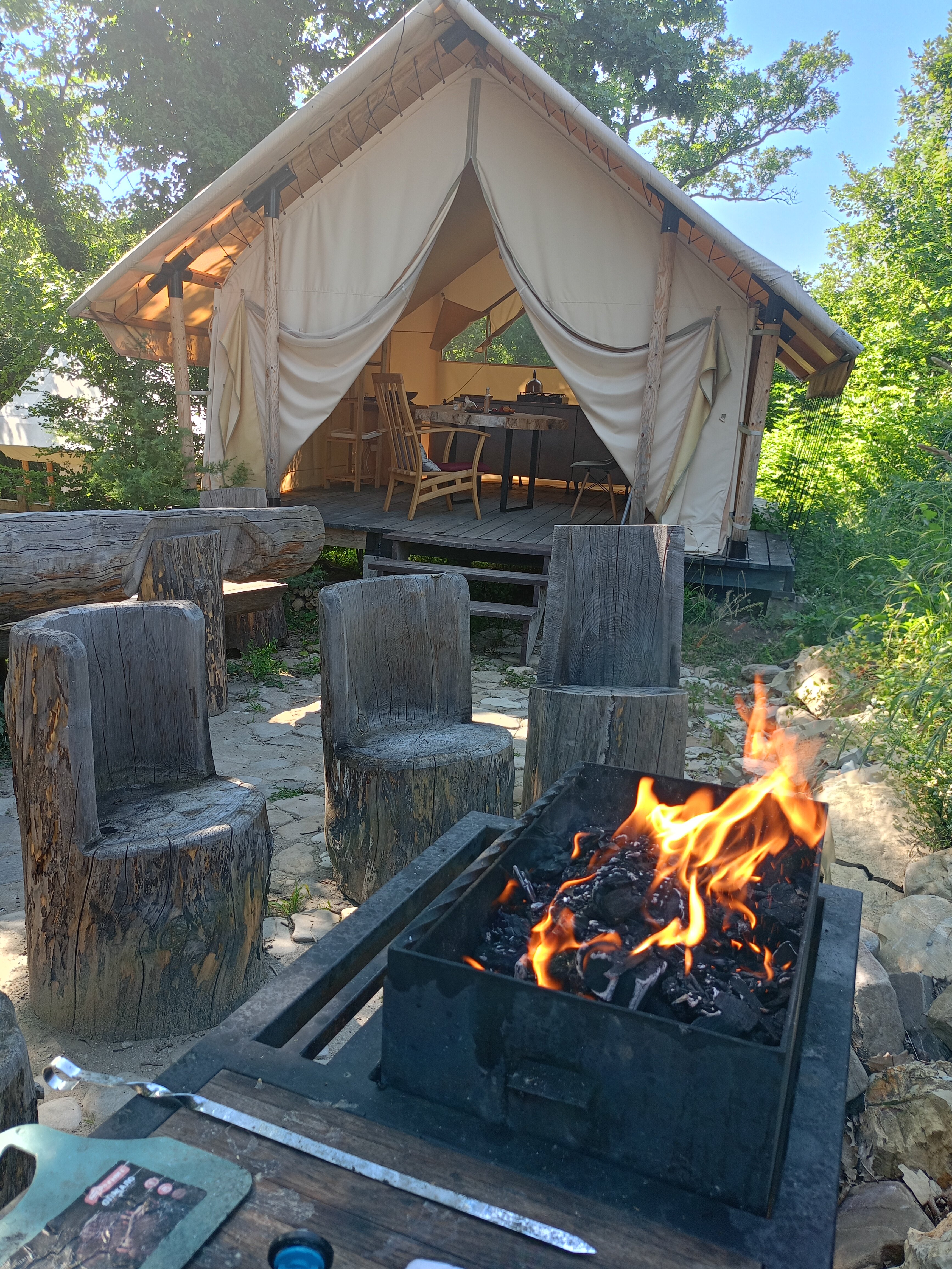 Фото Горный Енот