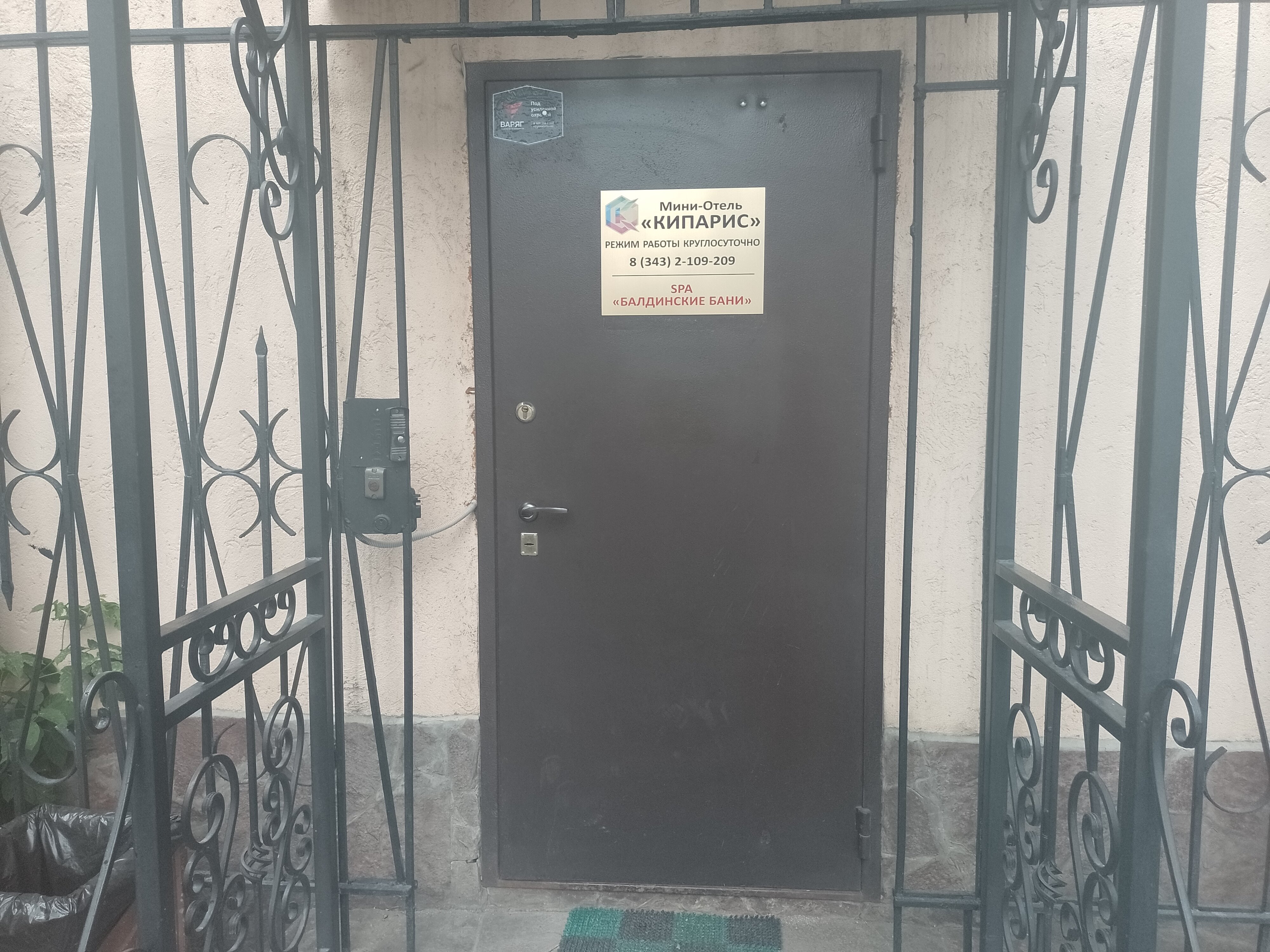 Фото Кипарис