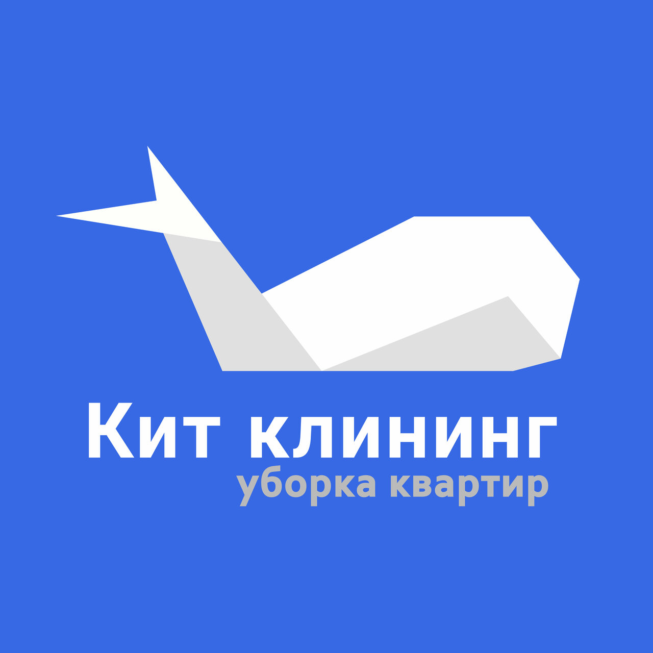 Кит клининг