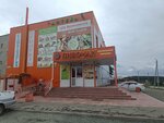 Апельсин (posyolok Svetly, 7А), grocery