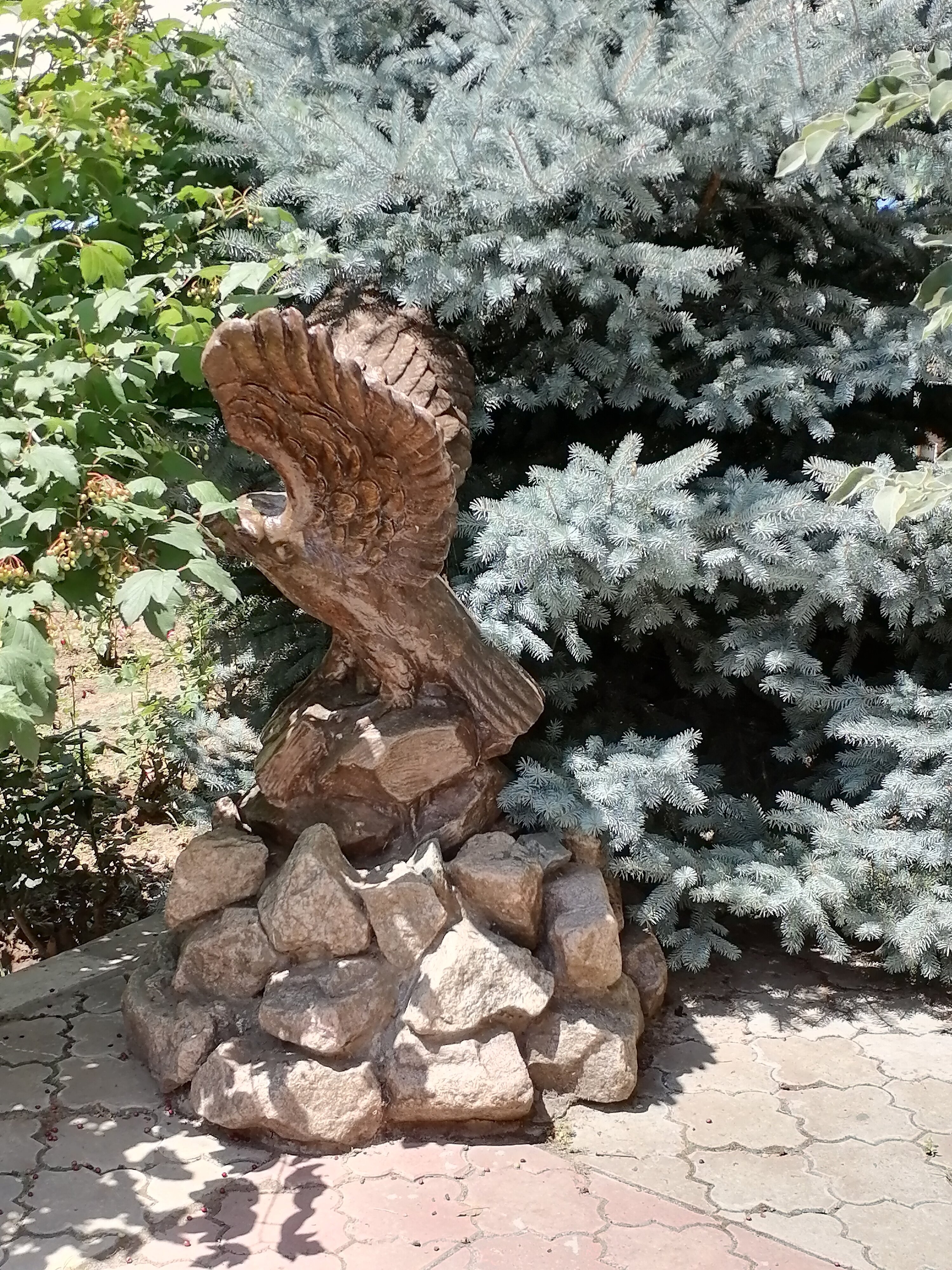 Фото Фантазия