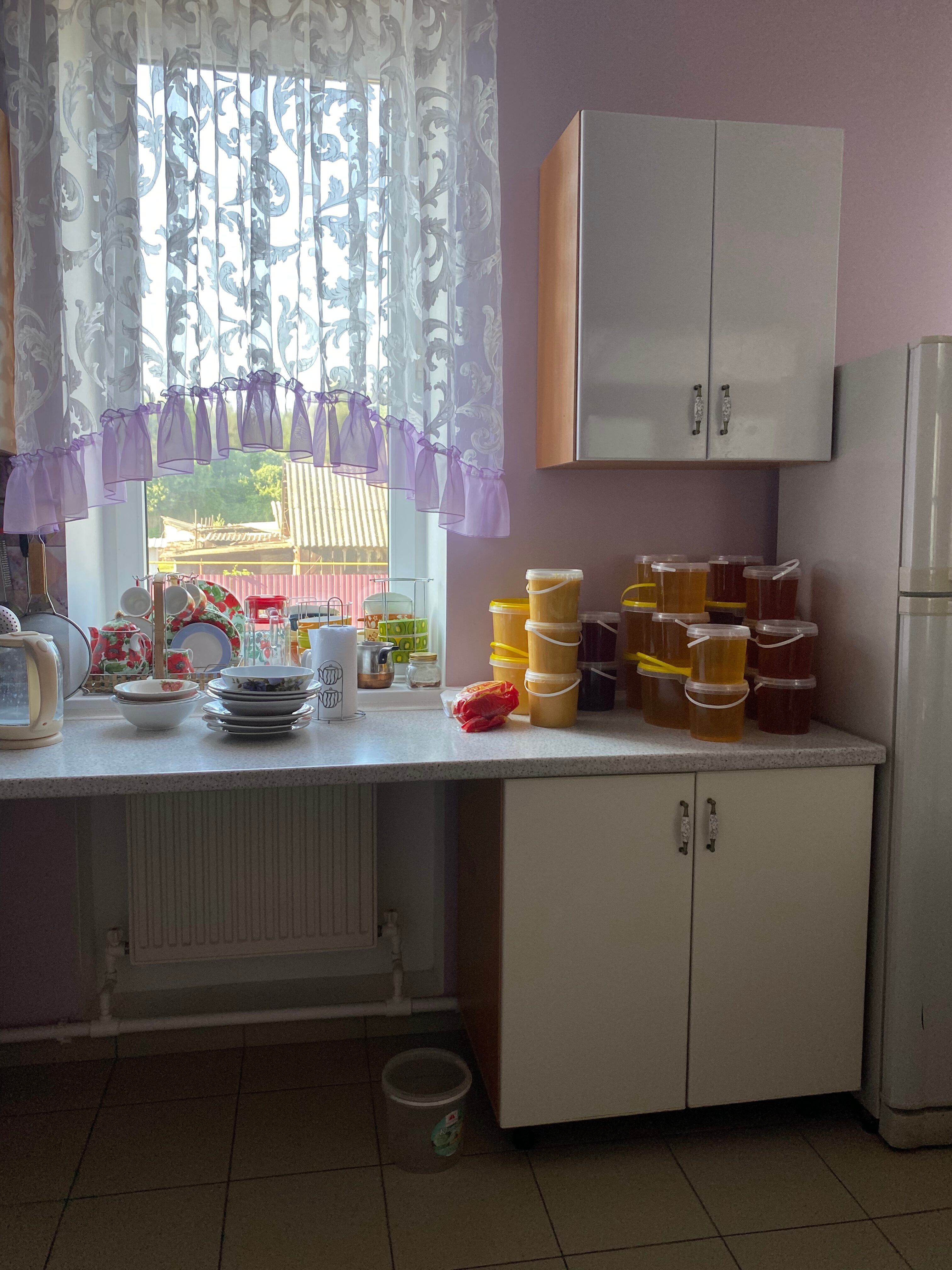 Фото Дубрава