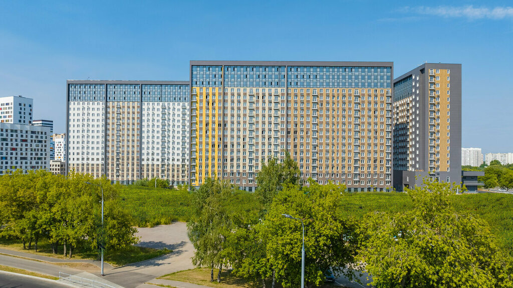 Новый свет березовая аллея 21 фото