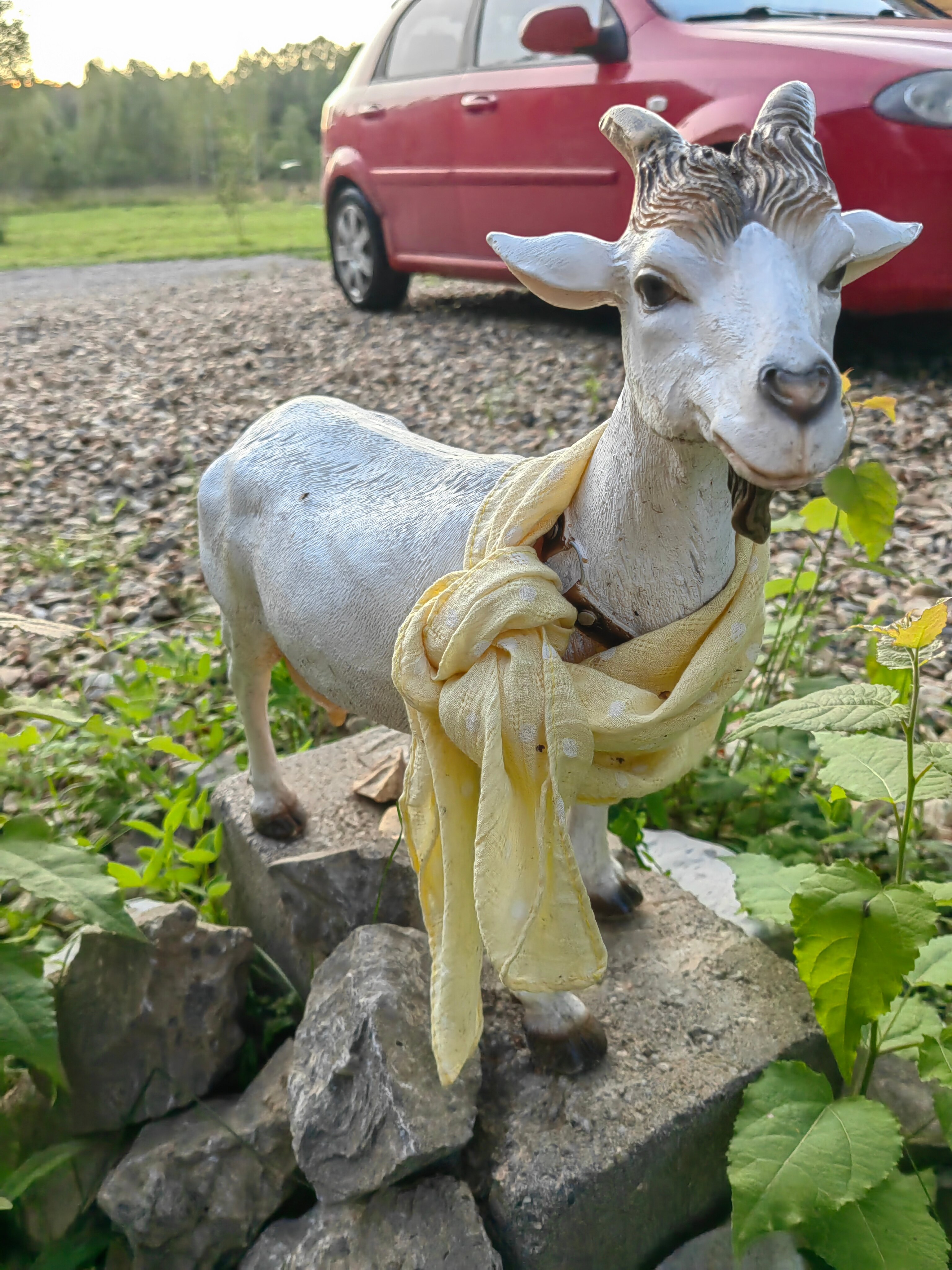 Фото Модная коза