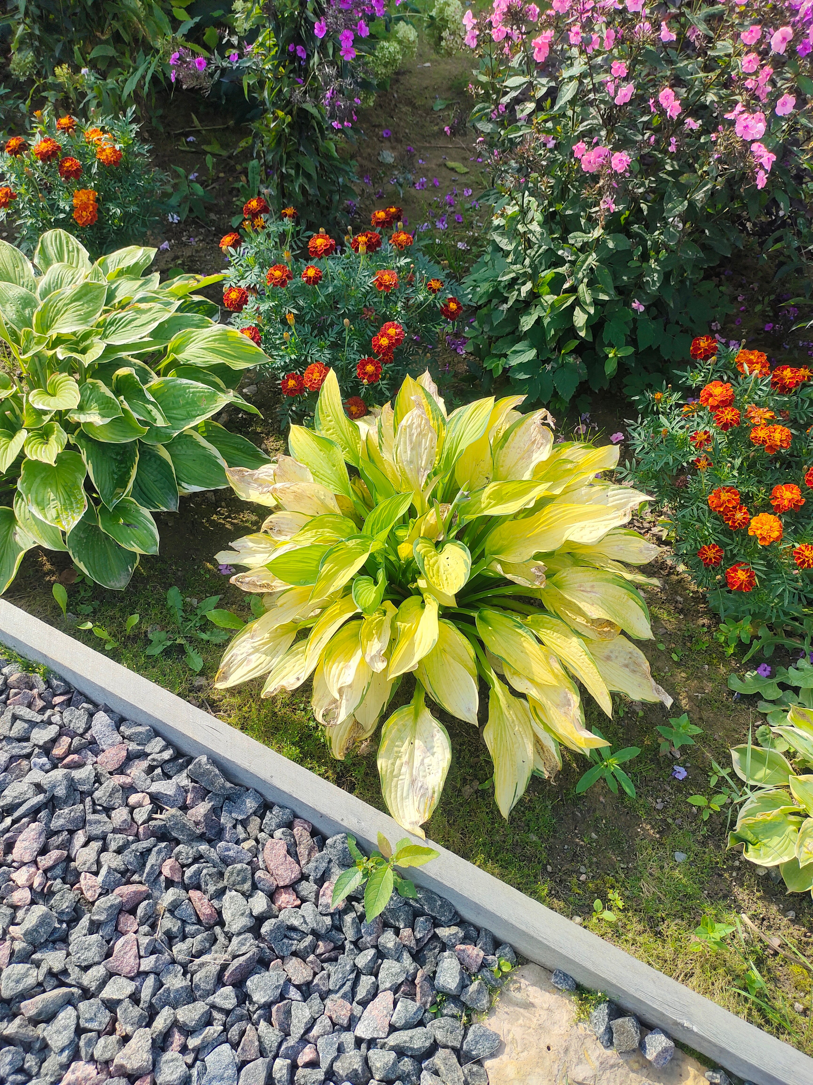 Фото Уютный Домик