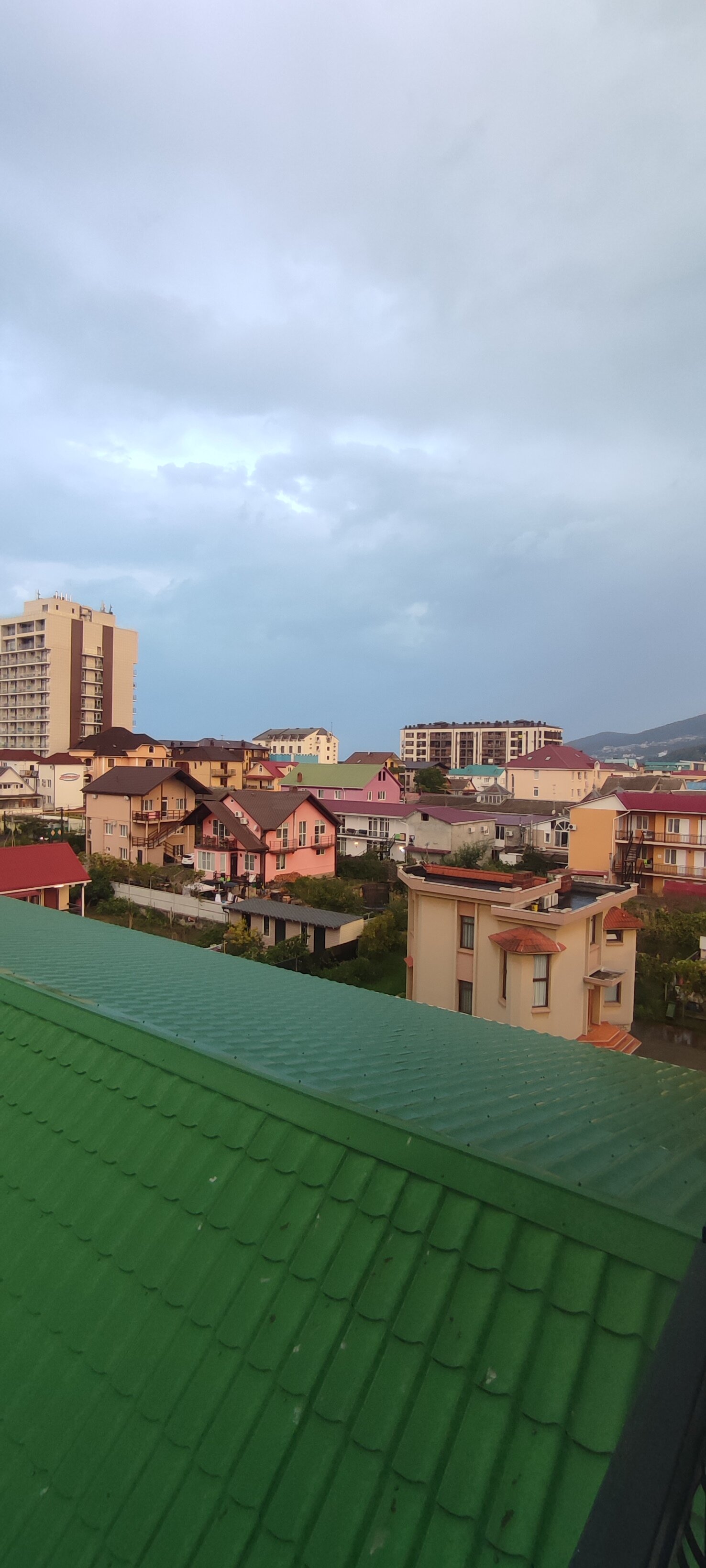 Фото Ромашка