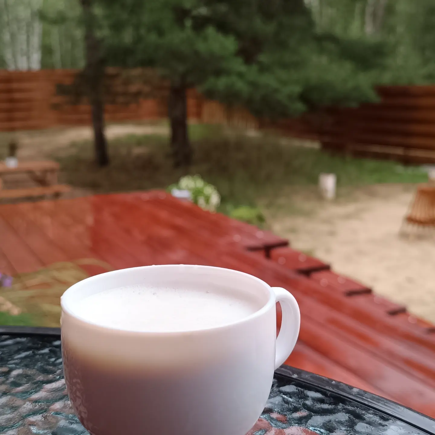 Фото Чик-чирик