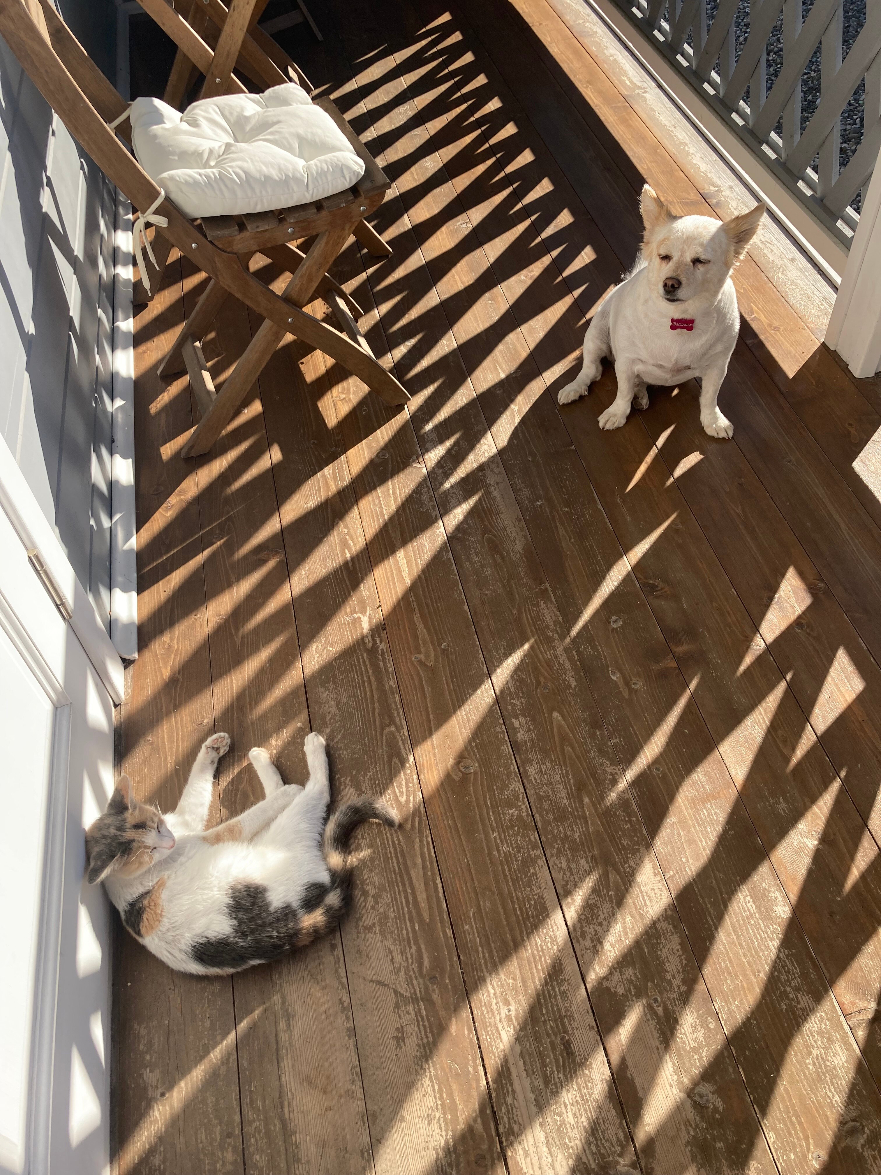 Фото 18755341514