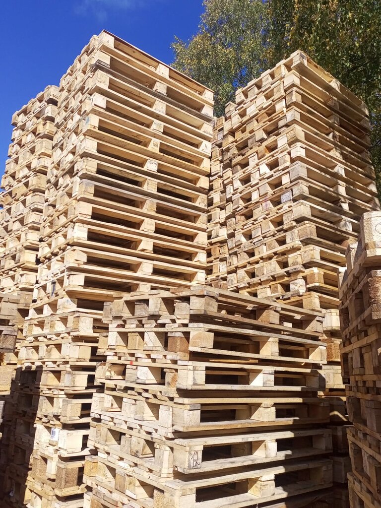Pallets Поддоны 24/7, Pushkino, photo