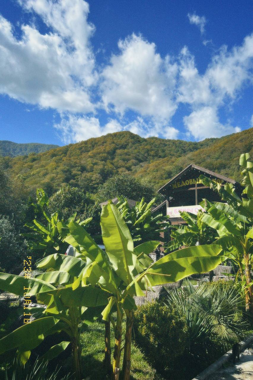 Фото Гранд отель Абхазия