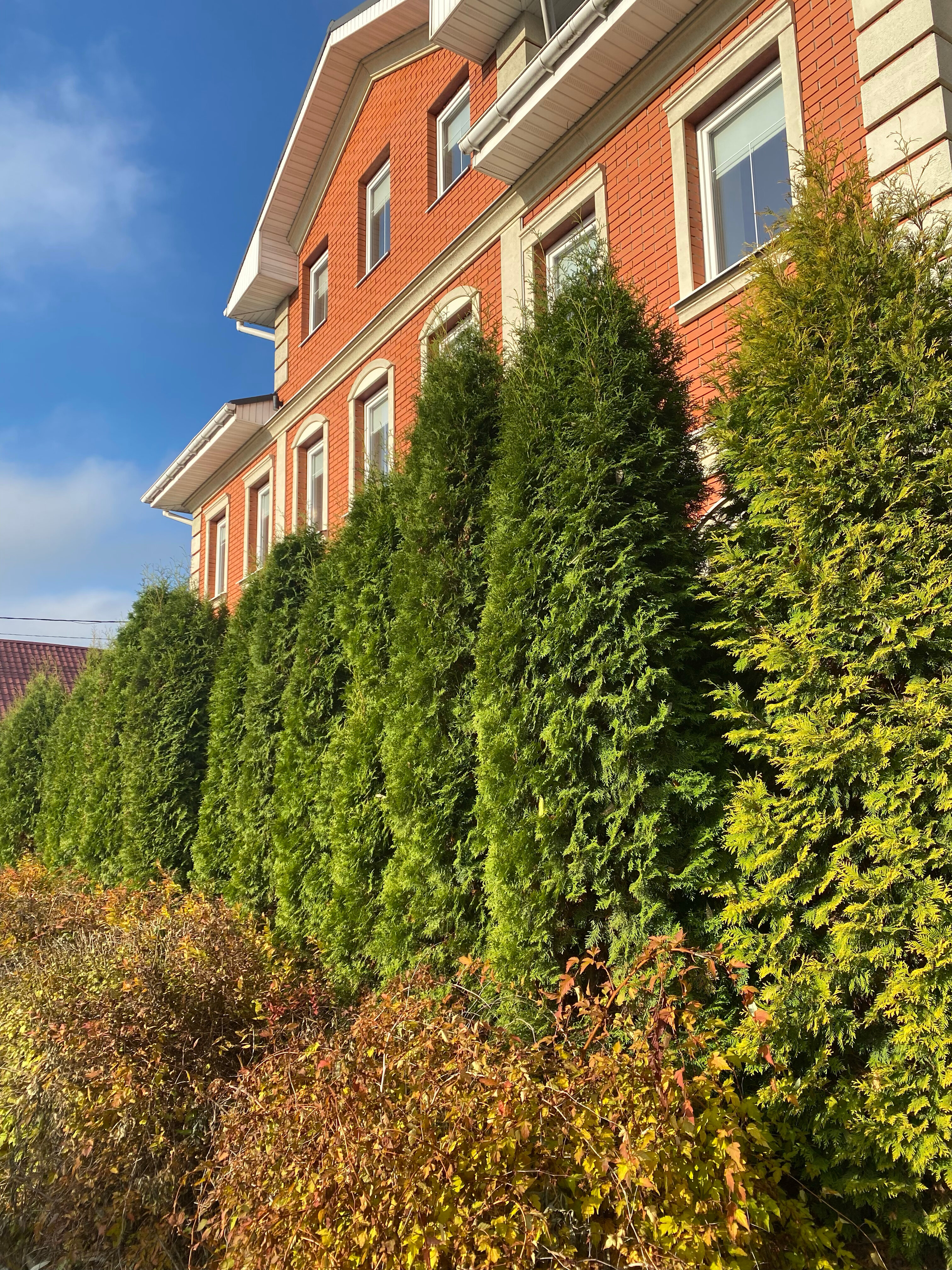 Фото Красная гора