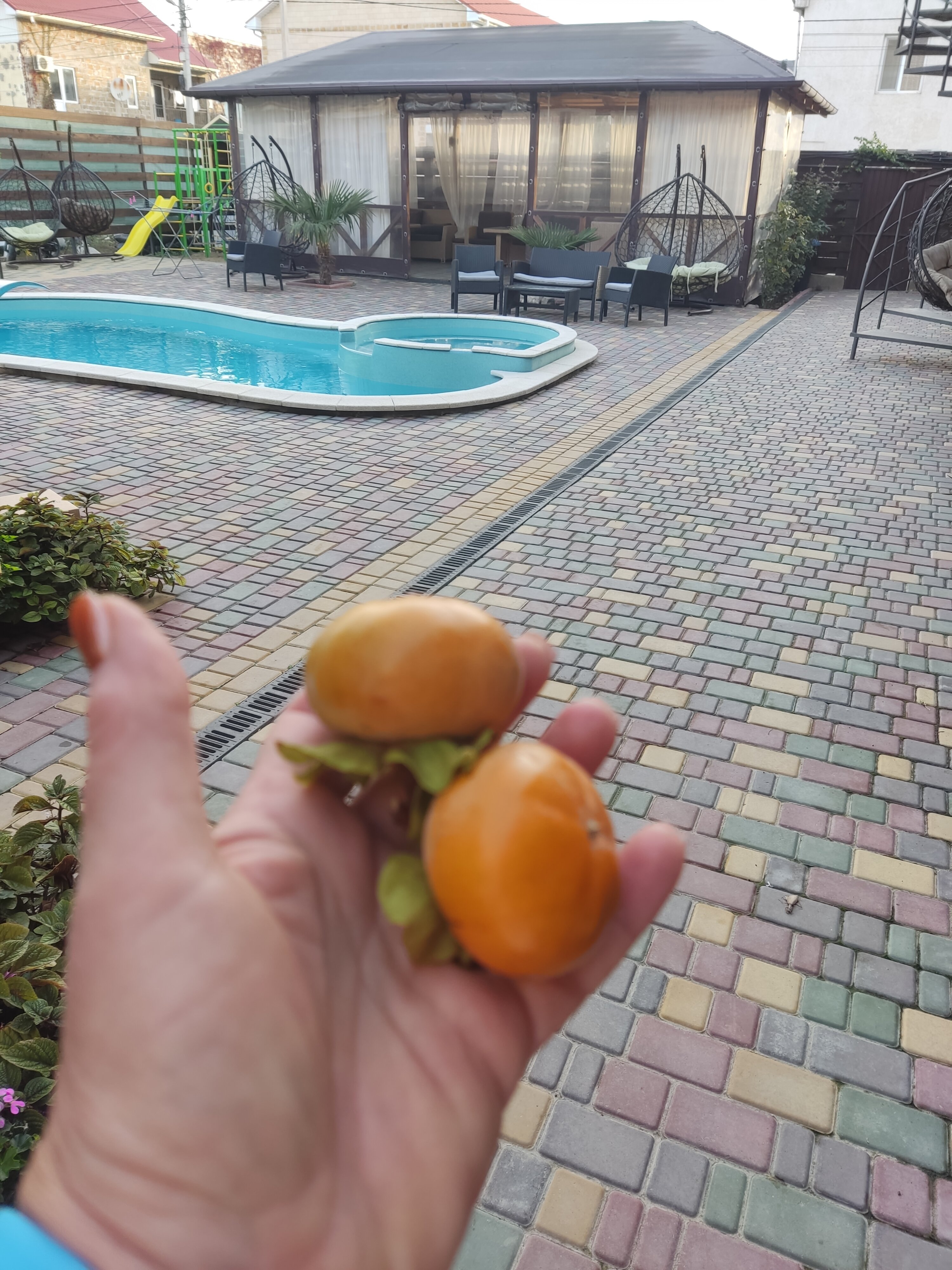 Фото Villa te Fiti