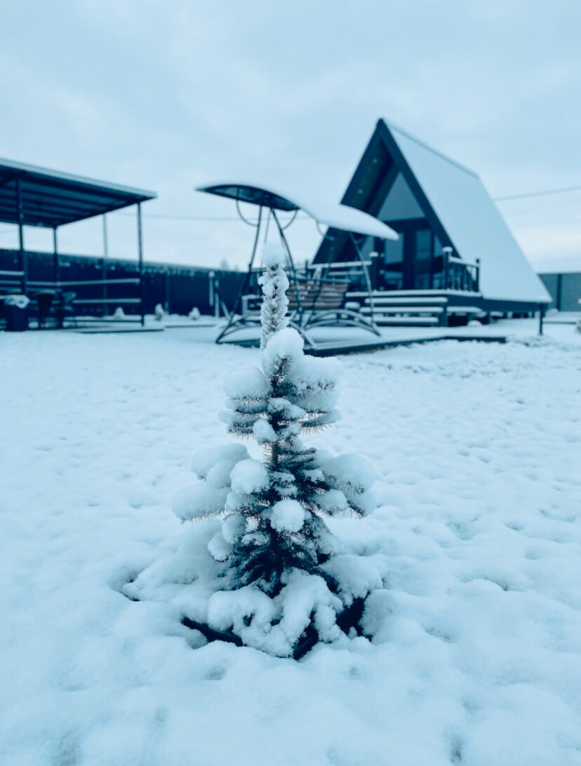 Фото A-frame МонДенсоль