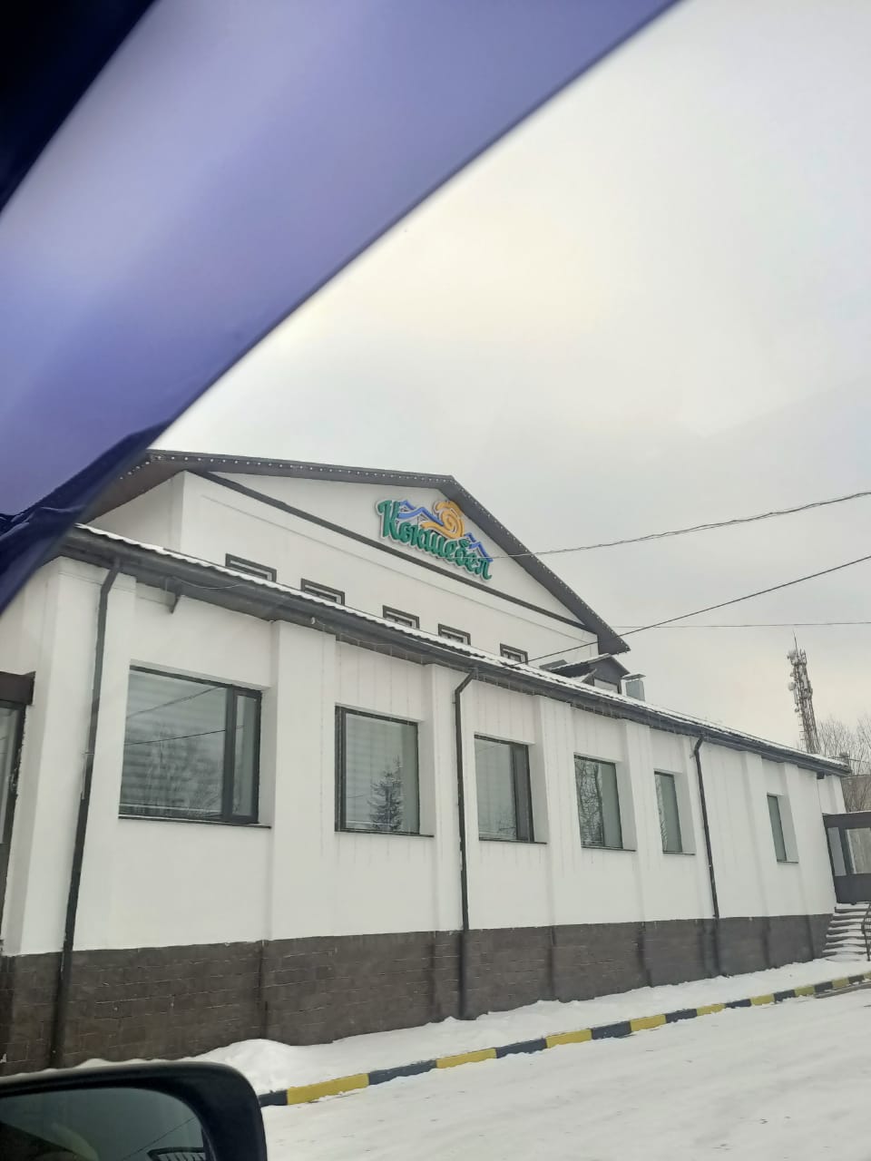 Фото Кокшебел