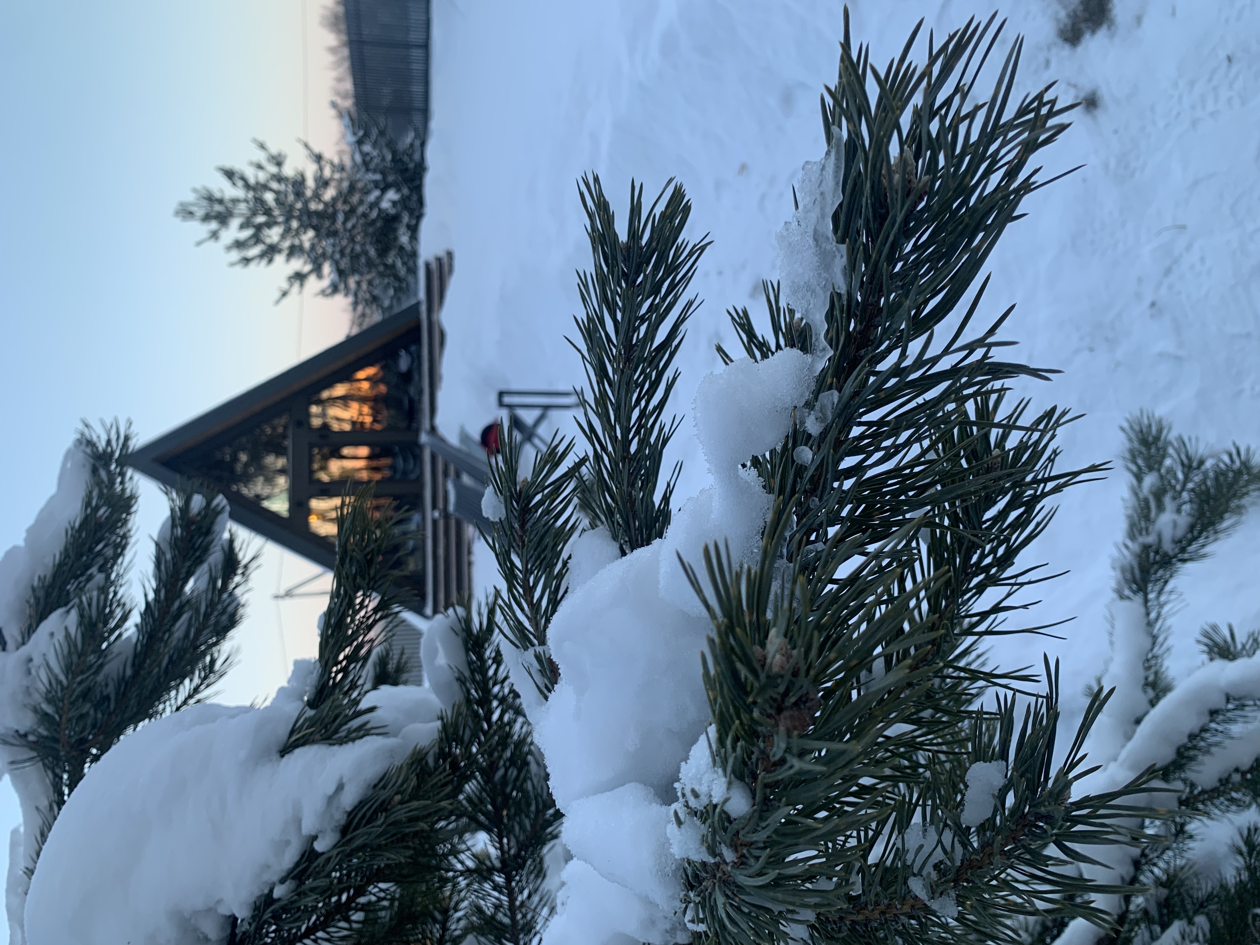 Фото МойДомик