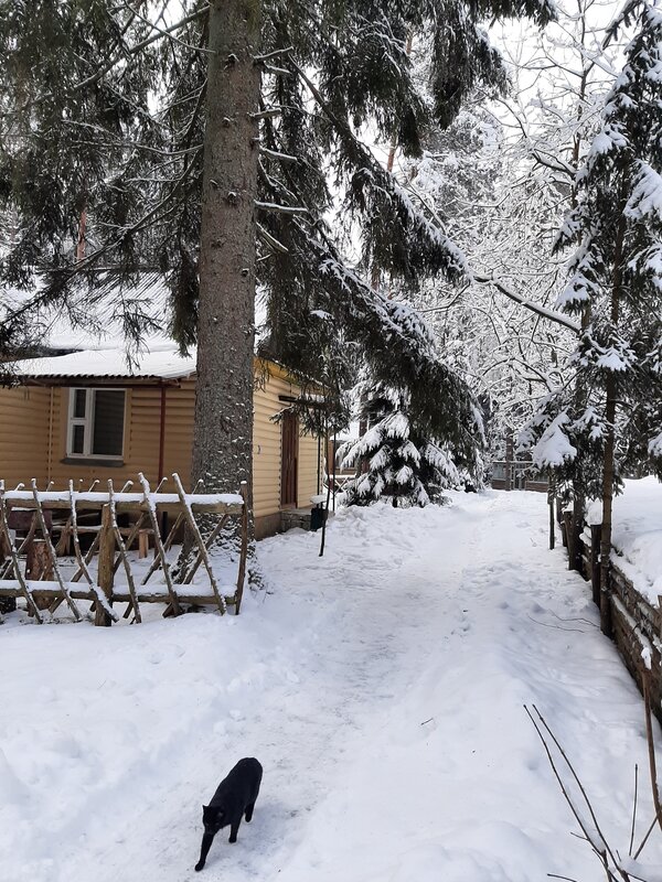 Дом отдыха Жуков луг