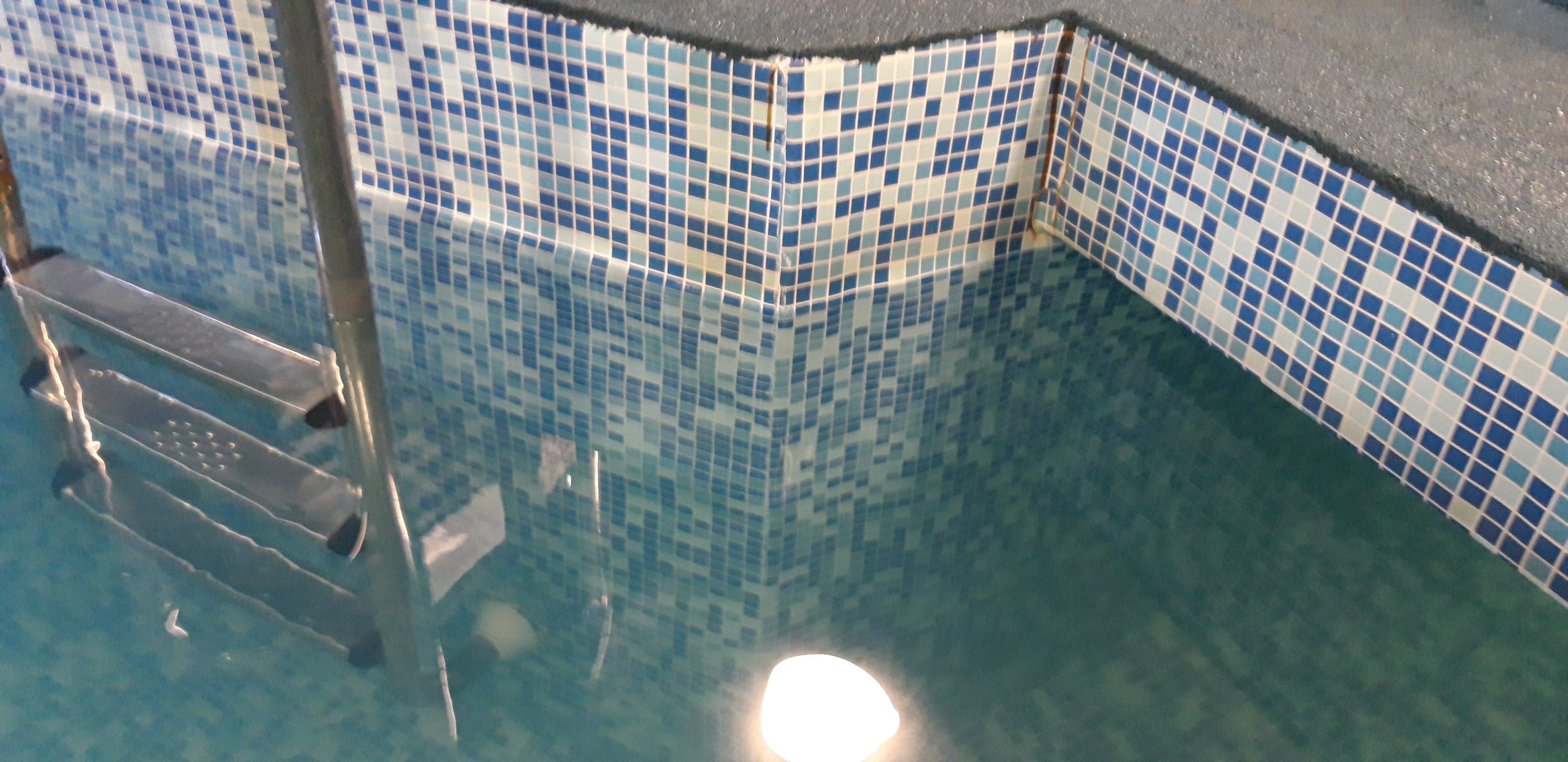 Фото Золотое крыло