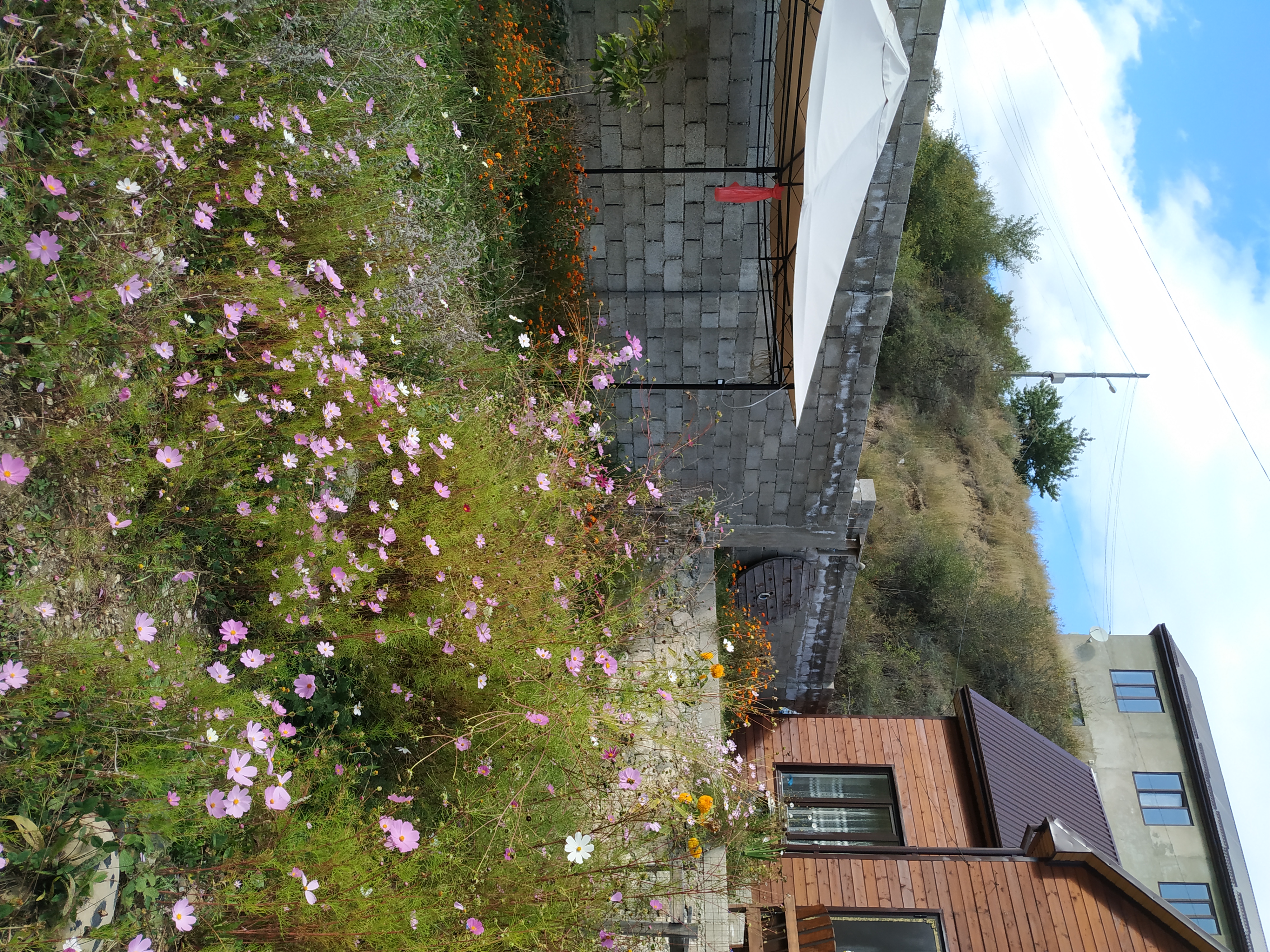 Фото Для друзей