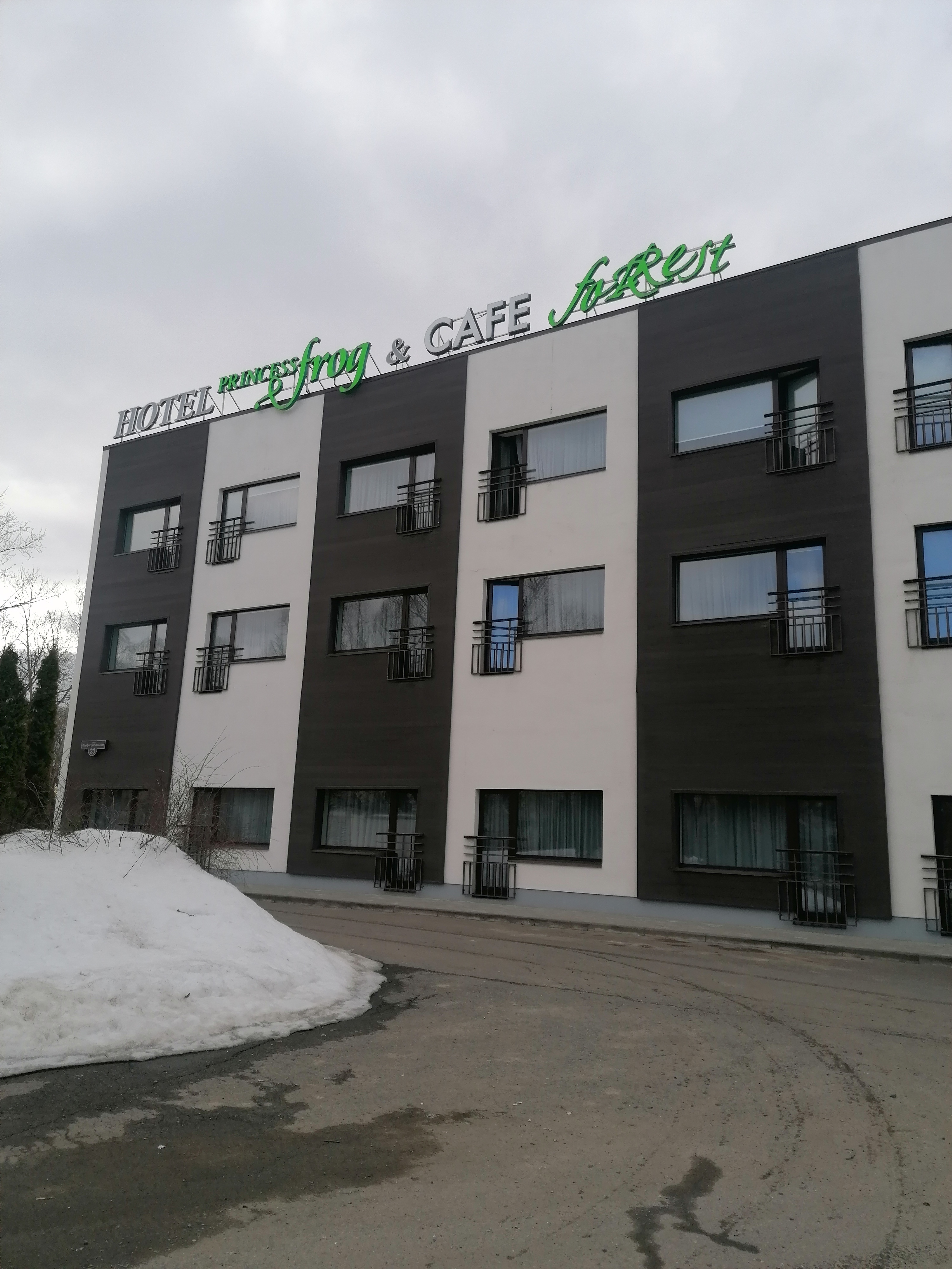 Фото Princess Frog