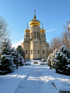 Храм Александра Невского (posyolok Sovkhozny, Shkolnaya ulitsa, 615А), orthodox church