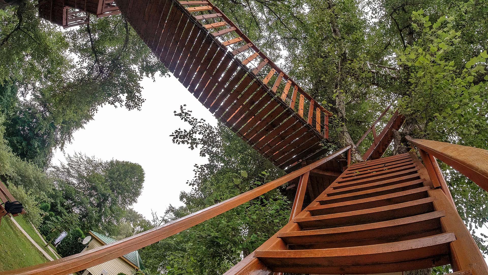 Фото Светлячок